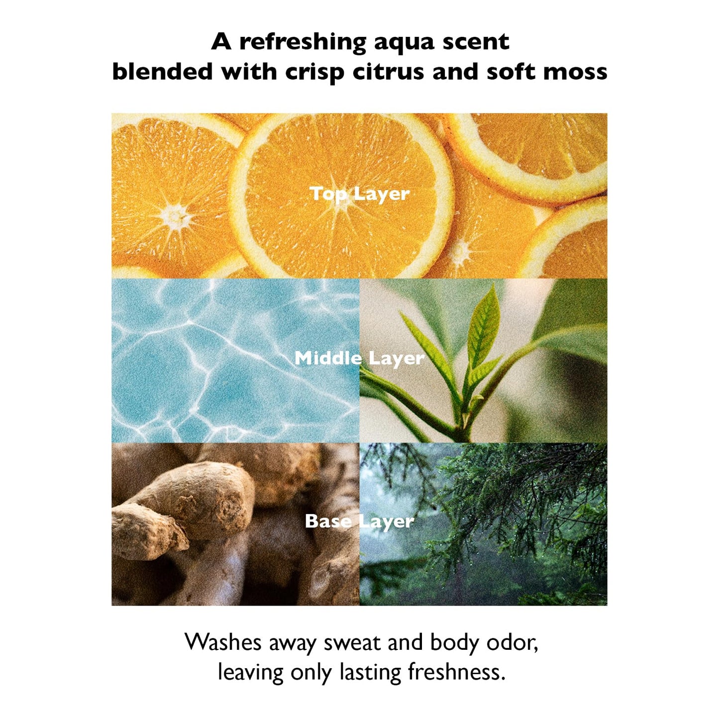 Lazy Society All-in-One Deep Scent Wash for Men, 10.14 fl oz. – Face, Body & Hair Cleanser with Long-Lasting Fragrance