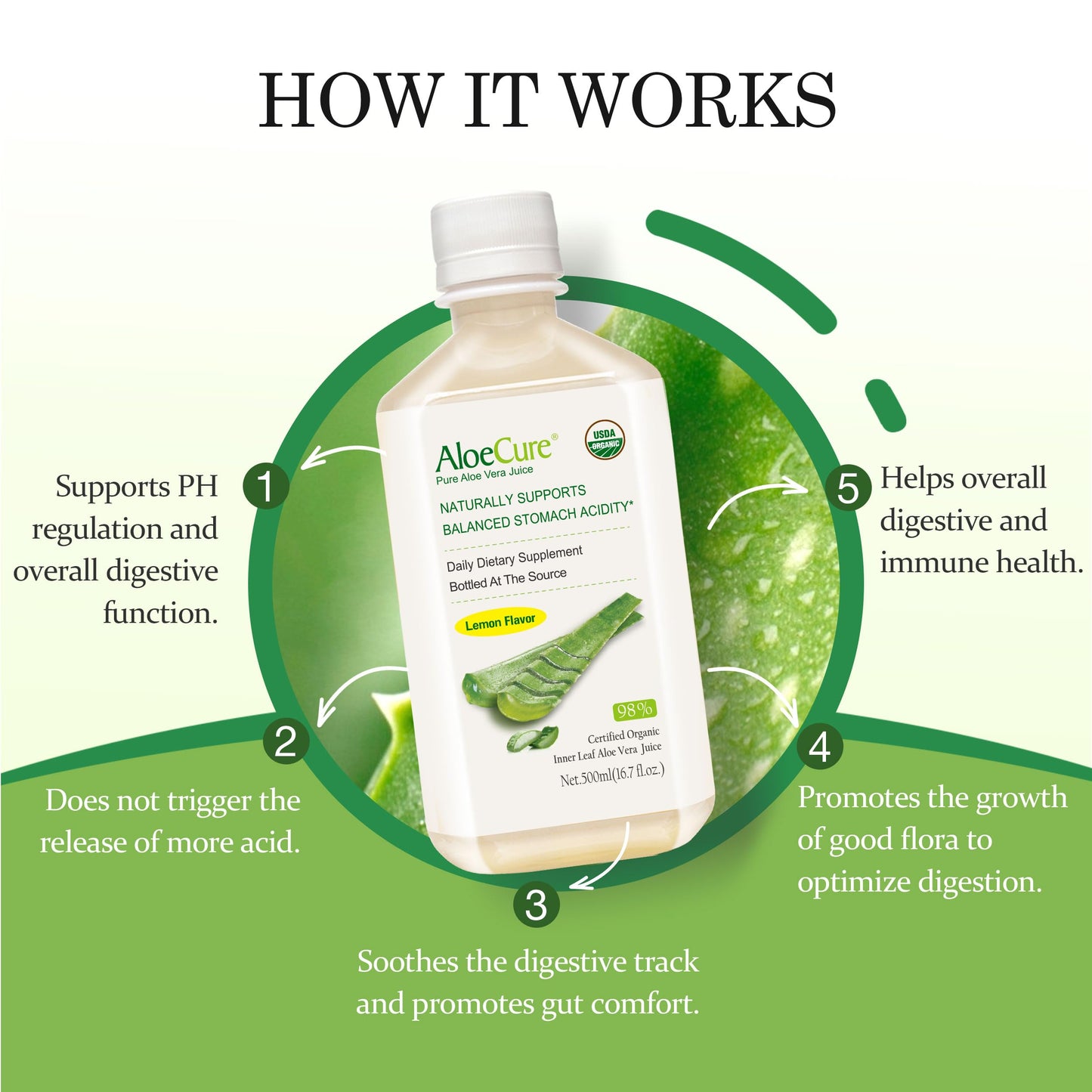AloeCure USDA Organic Aloe Vera Juice Lemon Flavor - Made Within 12 Hours of Harvest - Natural Digestive Supplement for Balanced Stomach Acidity - Support Digestive and Immune Health - 1 Btl x 16.7oz