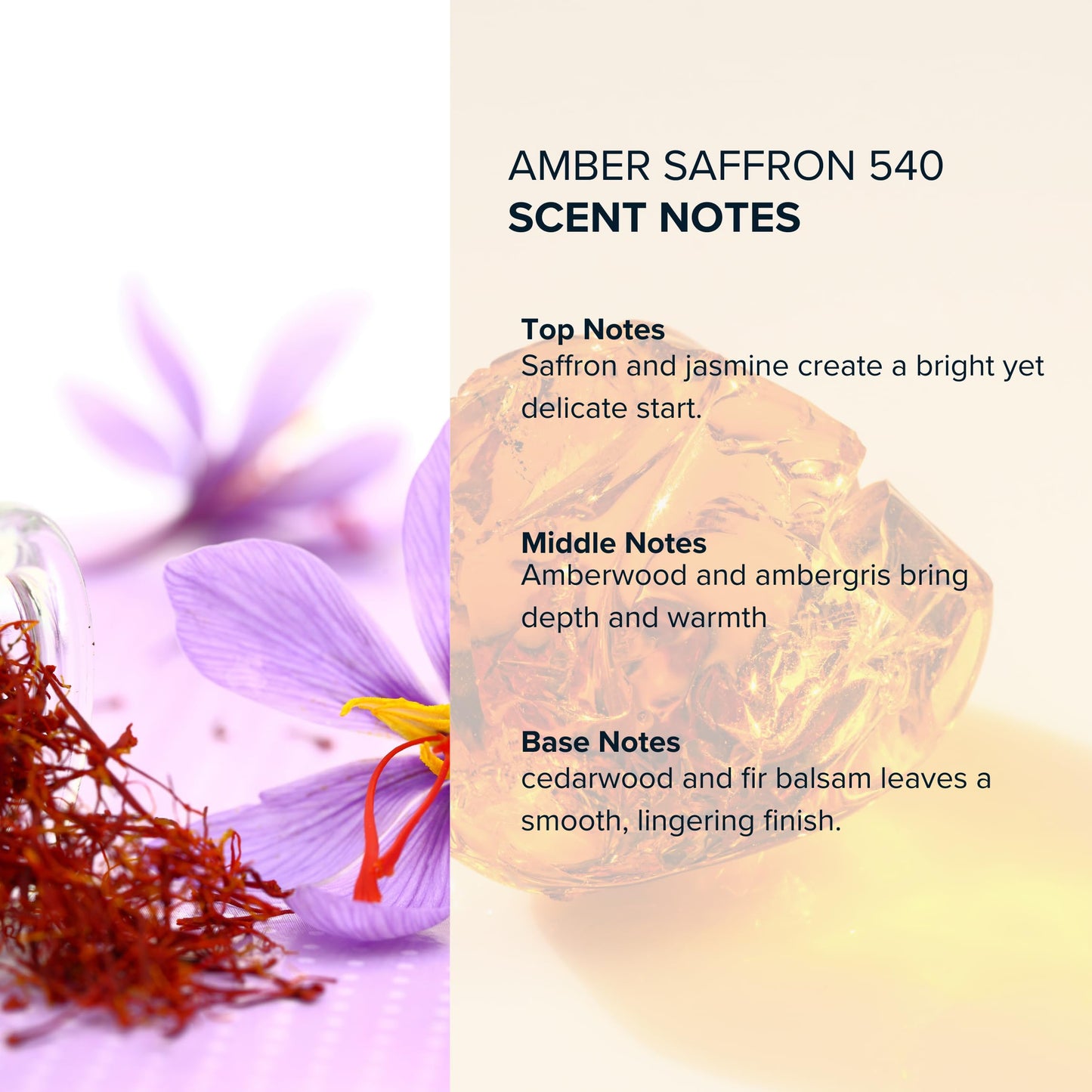 Anthology Amber Saffron 540 Roll On Perfume Oil 0.3oz 9 ML | Woody, Amber, Floral | Clean & Cruelty-Free Fragrance Rollerball