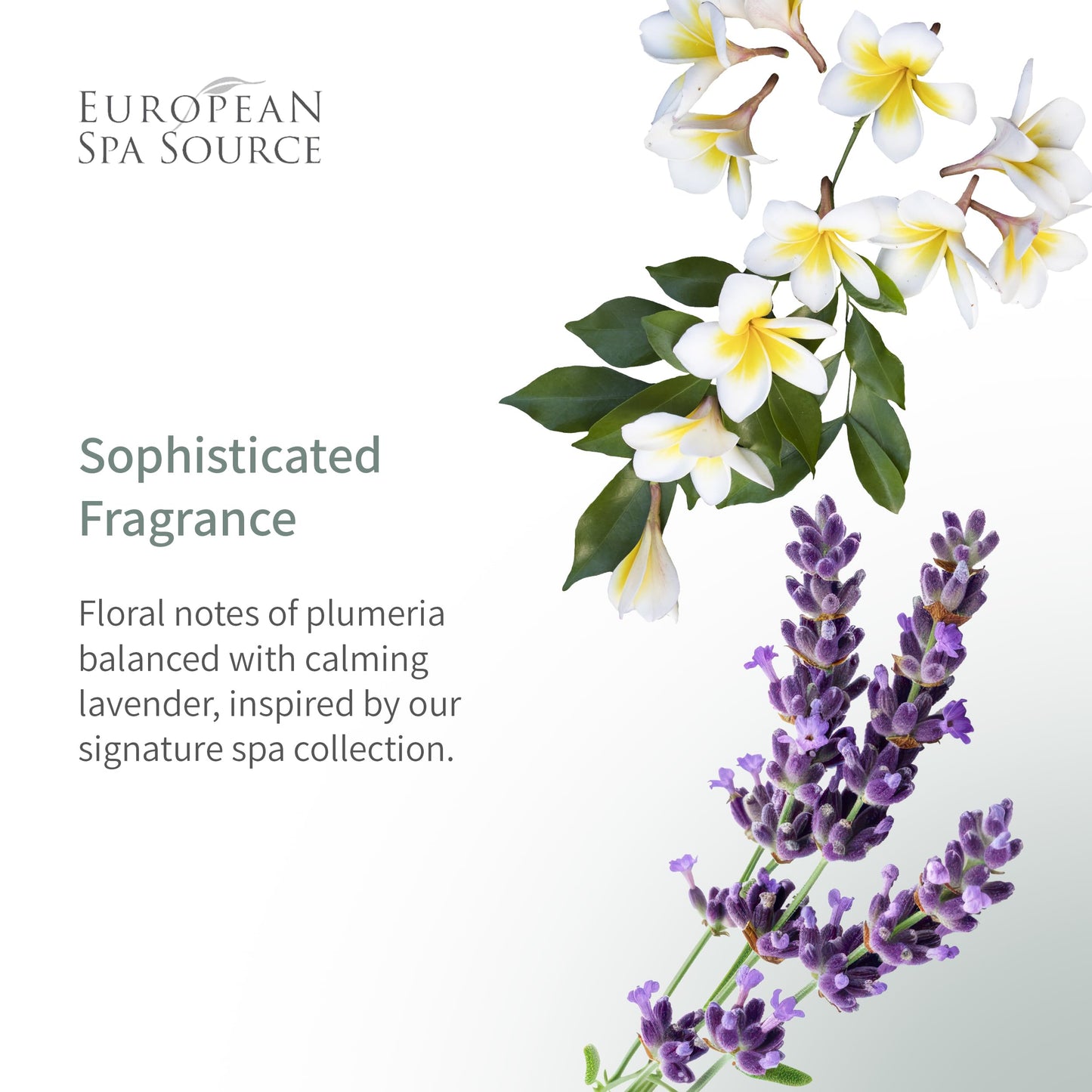 European Spa Source Spa Hand Treatment with Vitamin E, Plumeria and Lavender Luxury Hand Lotion, 3.4 fl oz.