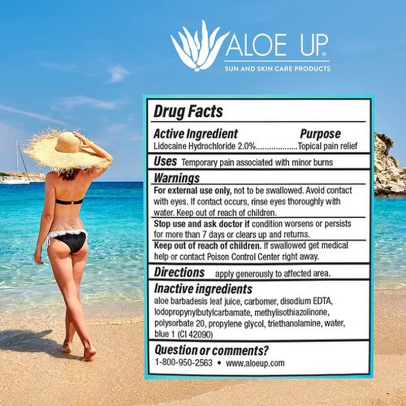 ALOE UP Aloe Ice Sunburn Relief Jelly - Face and Body Organic After Sun Gel - With 96.6% Pure Aloe Vera Gel - Reef Safe - Alcohol- and Fragrance-Free - 4 Oz