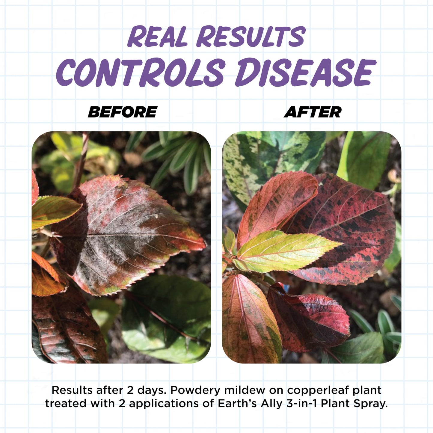 Earth's Ally 3-in-1 Insecticide, Miticide, Fungicide for Plants - Copper Fungicide & Neem Oil Spray Alternative - Insect Repellent & Pest Control for Indoor Outdoor Organic Gardening - 32 Oz Conc.