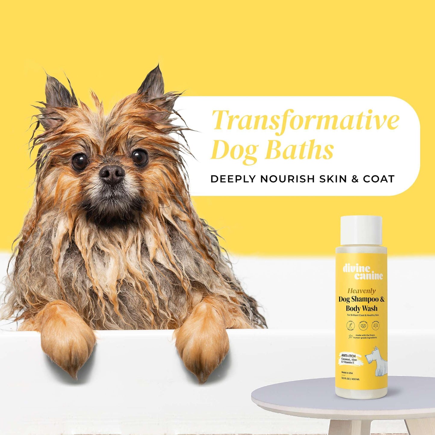 Divine Canine Anti-Itch Dog Shampoo & Body Wash - Sensitive Skin - 13.5oz
