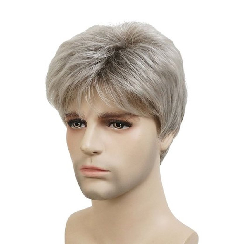 Lydell Men Wig Natural Short Straight Hair Synthetic Full Wigs (48T Light Gray with Dark Root)
