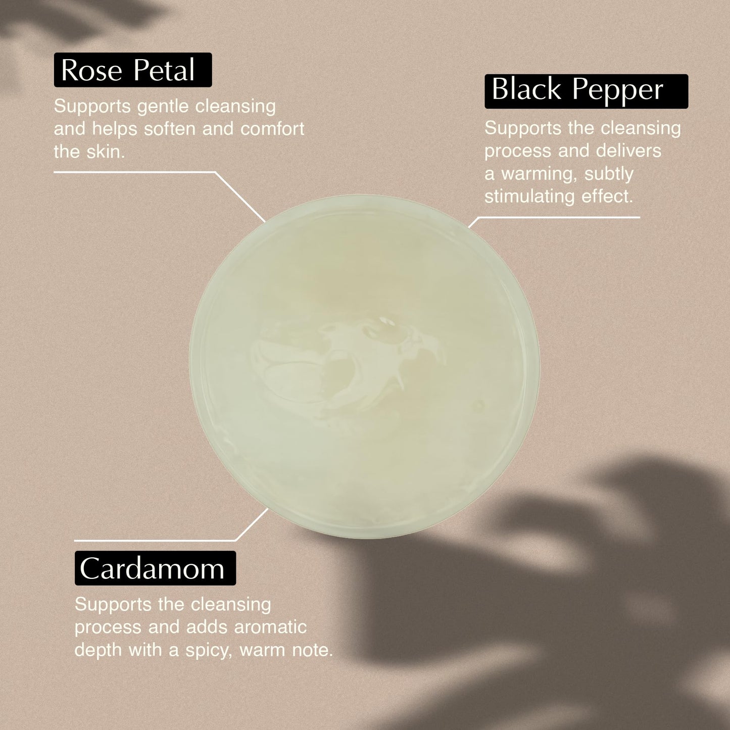 Aesop A Rose By Any Other Name Body Cleanser | Gentle Botanical Cleanser with Rose Petal Oil & Plant Extracts | 500 mL / 16.9 oz