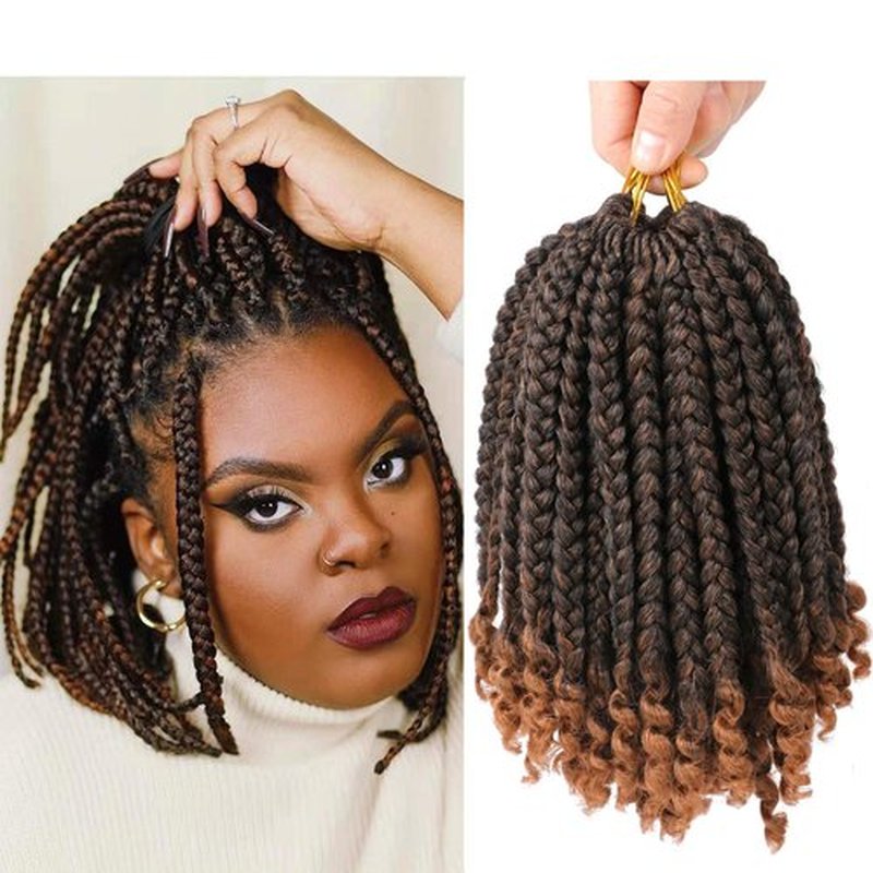 6 Packs Crochet Box Braids Curly Ends 10 Inch Bohemian Box Braids Crochet Hair for Black Women (T30, 10 Inch)