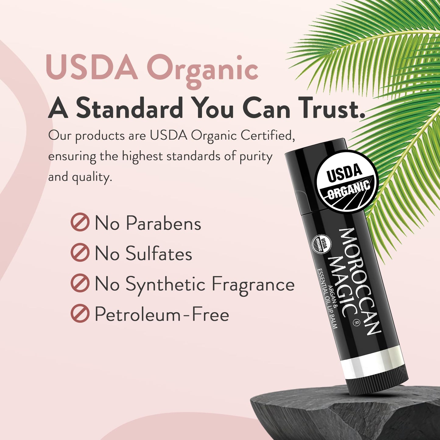 Moroccan Magic Organic Lip Balm Variety Pack Gift Set | Natural Argan and Essential Oils | Smooth | Non-Toxic Cruelty Free | 8 Pack