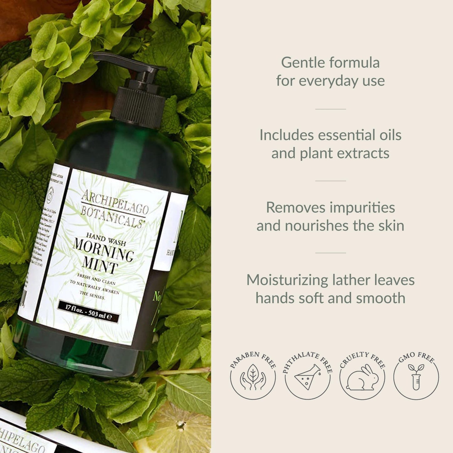 Archipelago Botanicals Morning Mint Liquid Hand Soap, Moisturizing Daily Hand Wash with Soap Pump, Kitchen or Bathroom Hand Soap, 17.0 Fl. Oz.