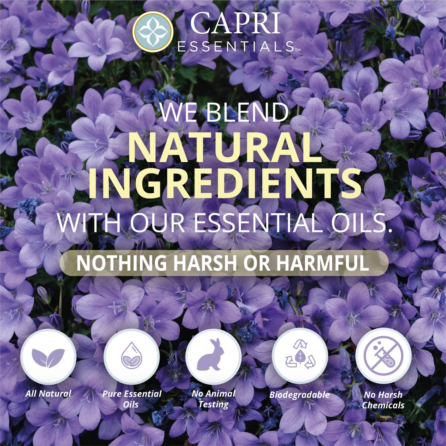 CAPRI ESSENTIALS Hand Soap Liquid, Natural Household Cleaning Supplies, Gentle Plant Based Aromatic Hand Wash with a Blend of Essential Oils, Removes Dirt & Grime, White Lavender Scent, 16 FL Oz