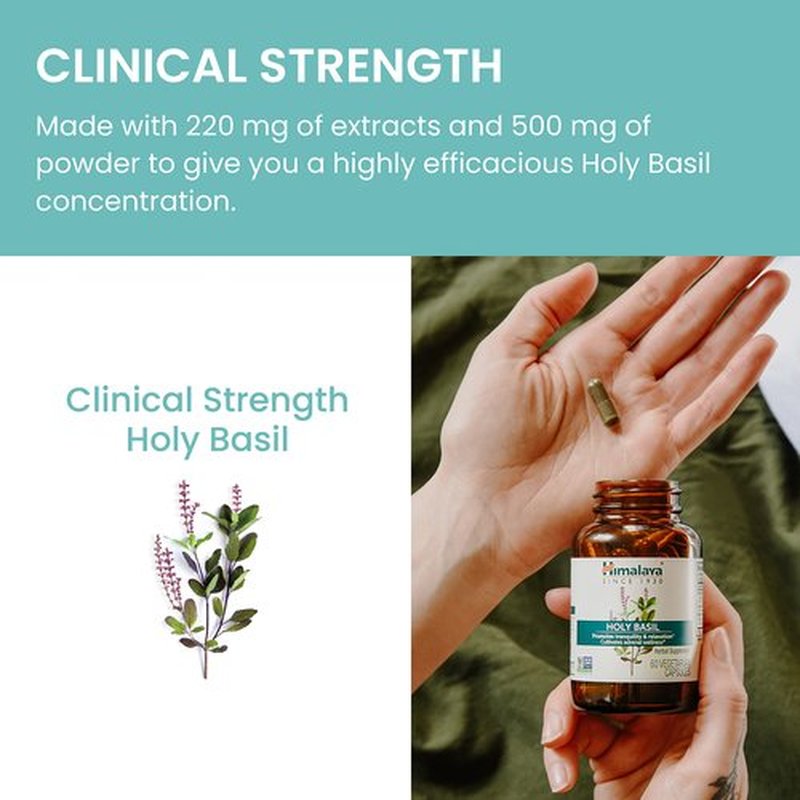 Himalaya Holy Basil Tulsi Herbal Supplement, Stress Relief, Relaxation, Occasional Sleeplessness, Promotes Calm, Ayurvedic, Non-GMO, Vegan, 720 mg, 60 Capsules, 2 Pack