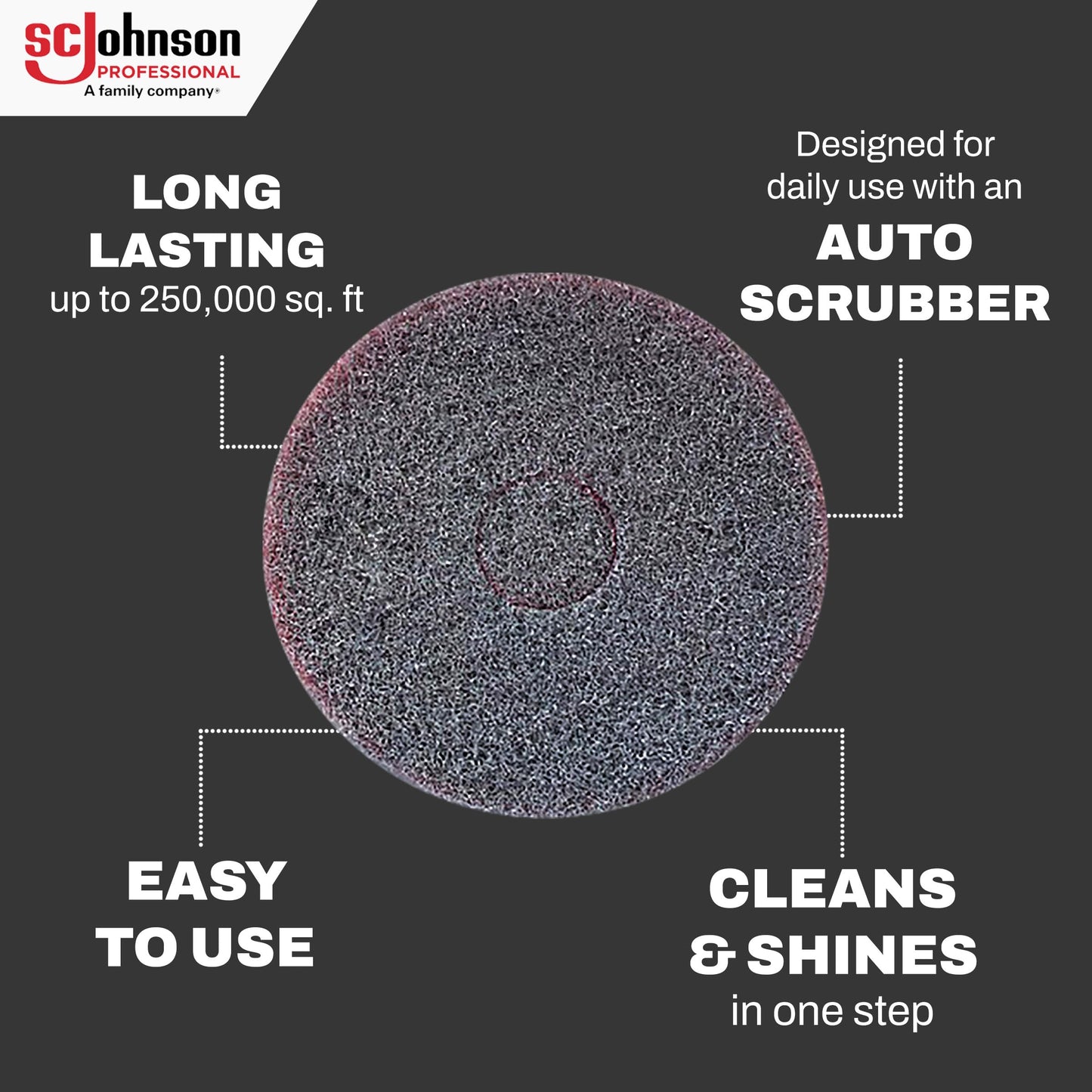SC Johnson Professional EZ Care Heavy Duty Scrubbing Pad 17" Dia, case of 5