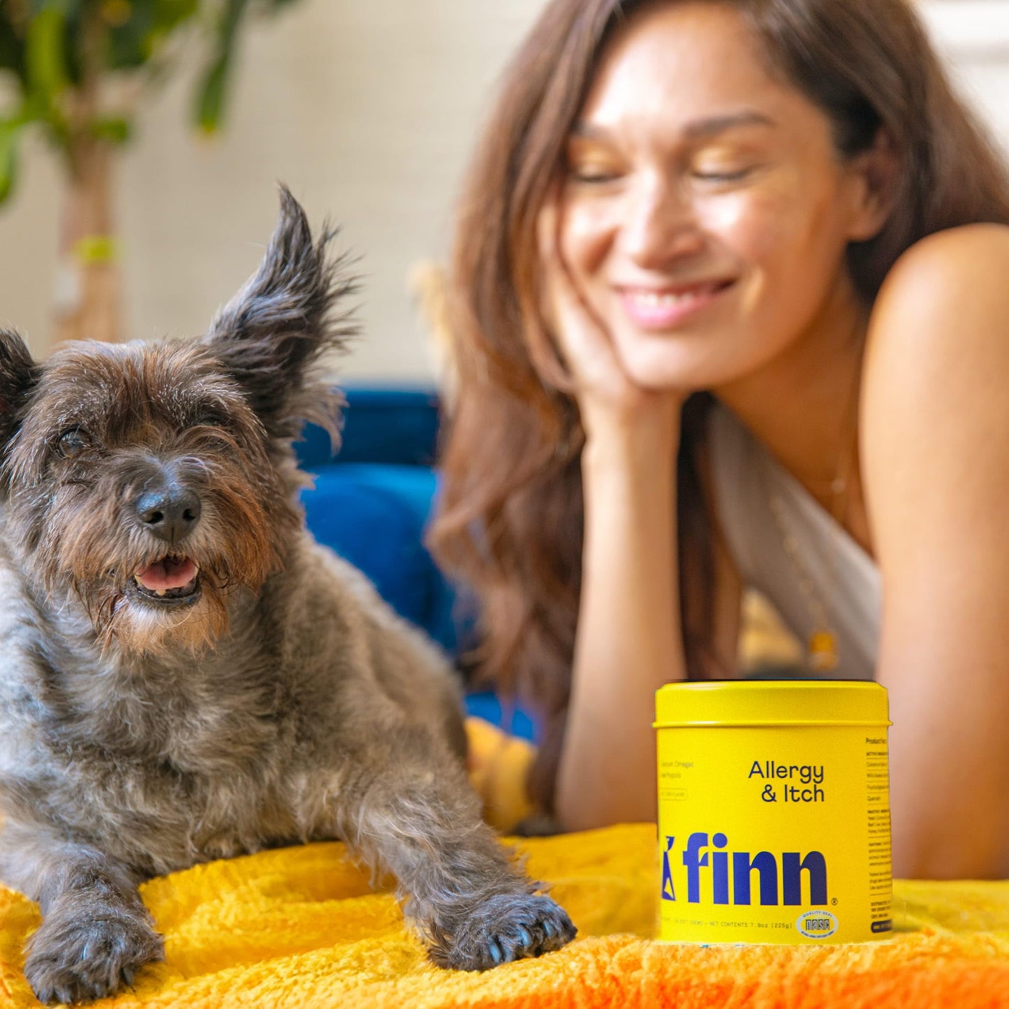 Finn Allergy & Itch Soft Chews for Dogs | Colostrum & Bee Propolis | 90 Ct