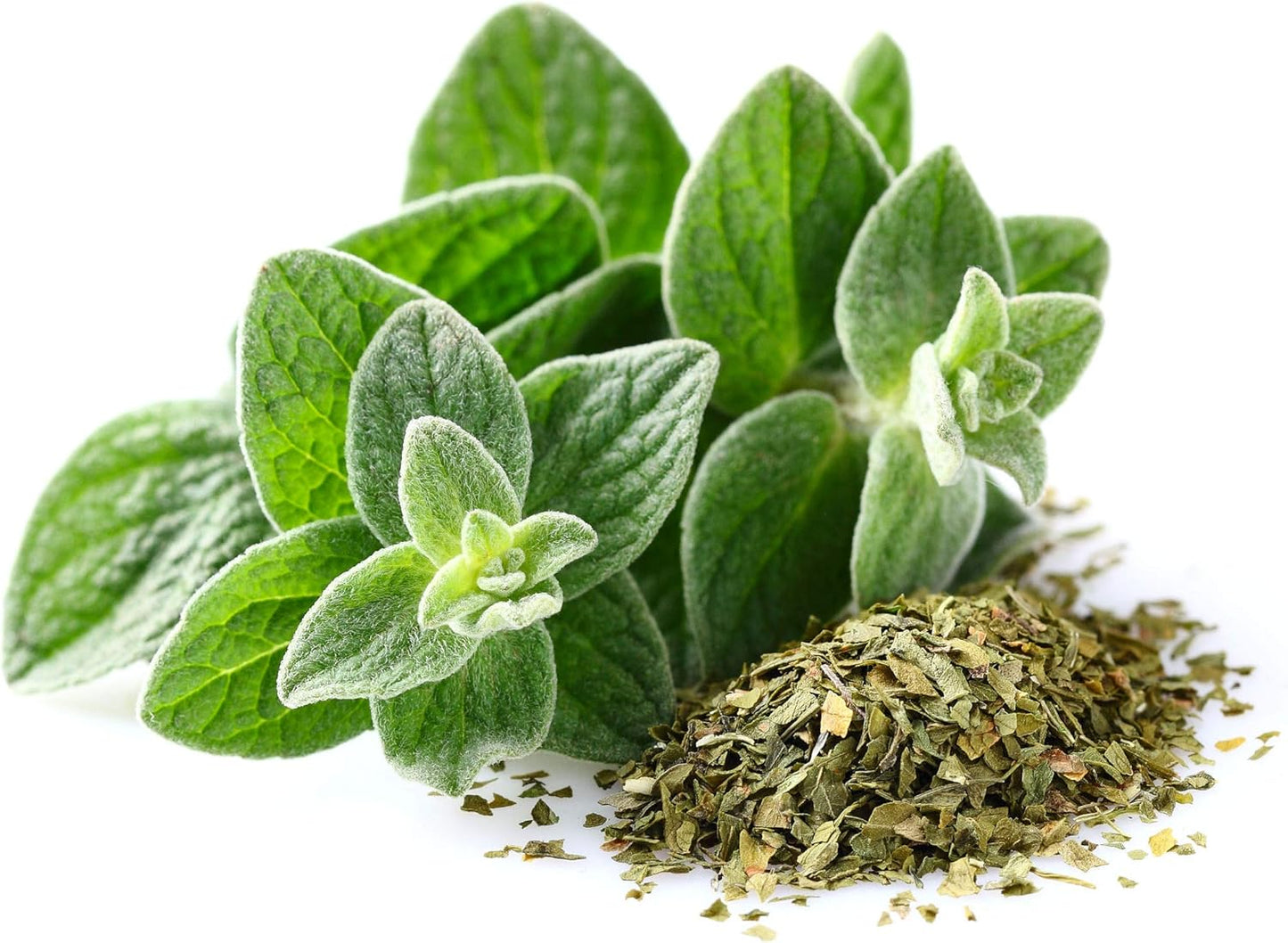 Organic 100% Pure Oregano Essential Oil - USDA Certified, Steam Distilled | 10 ml