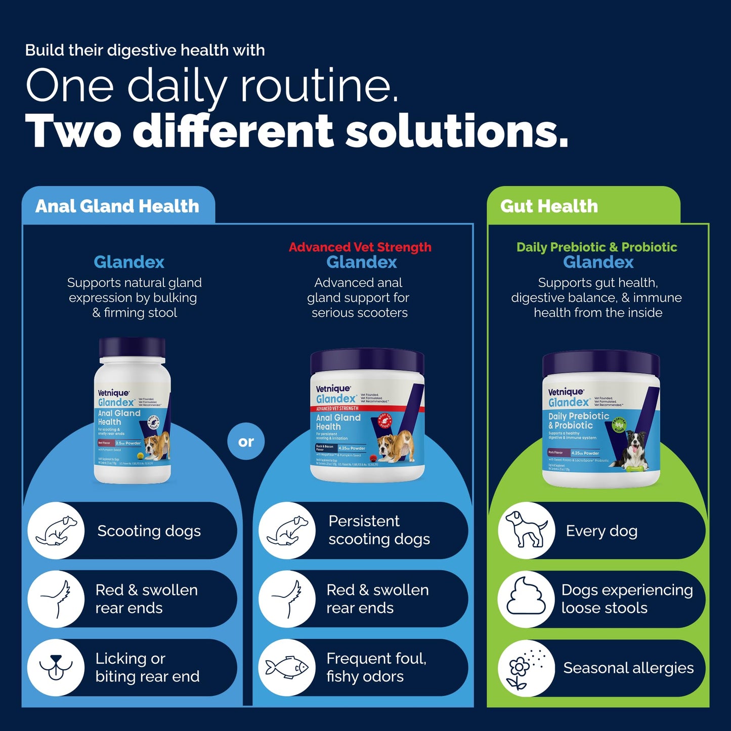 Vetnique Glandex for Dogs Anal Gland Powder, Support for Scooting & Fishy Odor, Boot the Scoot Fiber Supplement, Pumpkin Powder & Probiotics for Dogs with Digestive Enzymes