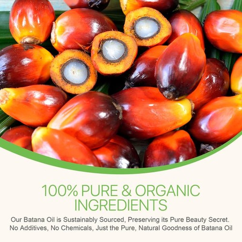 ELBBUB Raw Batana Oil for Hair Growth and Repair -100% Pure, Unrefined Oil from Honduran Rainforests Prevent Hair Loss and Enhances Hair Thickness in Men & Women