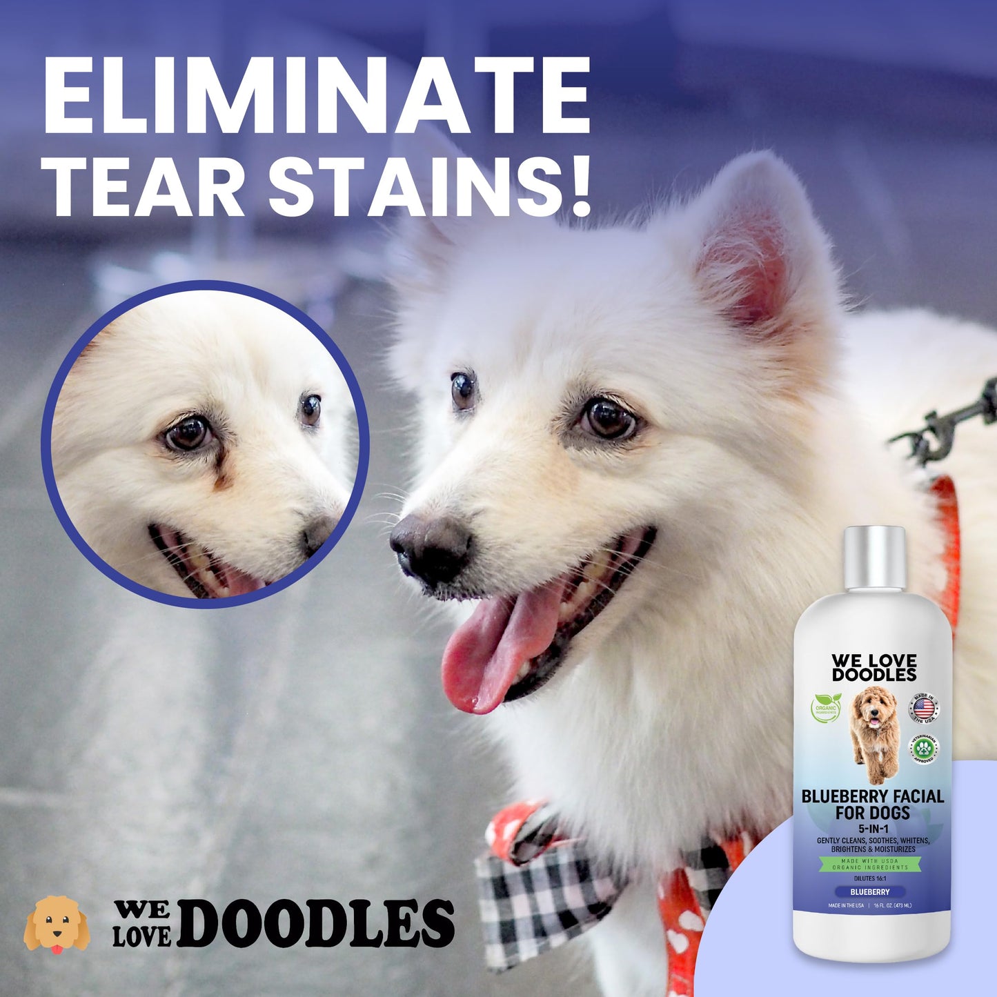 Blueberry Facial Dog Shampoo - Dog Tear Stain Remover, Brightens & Whitens Coat, Cleans & Deodorizes, Tearless, 16:1 Concentrated, 16 oz [We Love Doodles]