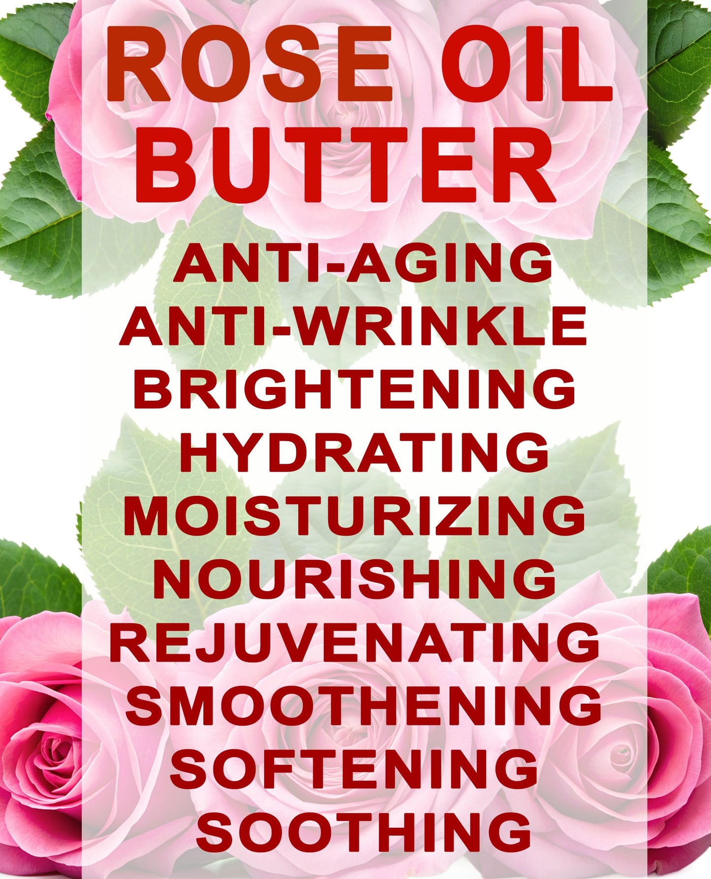 Botanical Beauty ROSE OIL BUTTER 100% Natural Rose Essential Oil in Shea Nut Butter for FACE SKIN BODY HAIR NAILS Beauty Skin Moisturizer Oil Butter Skin Nourishing (16 Fl Oz 480 ml)