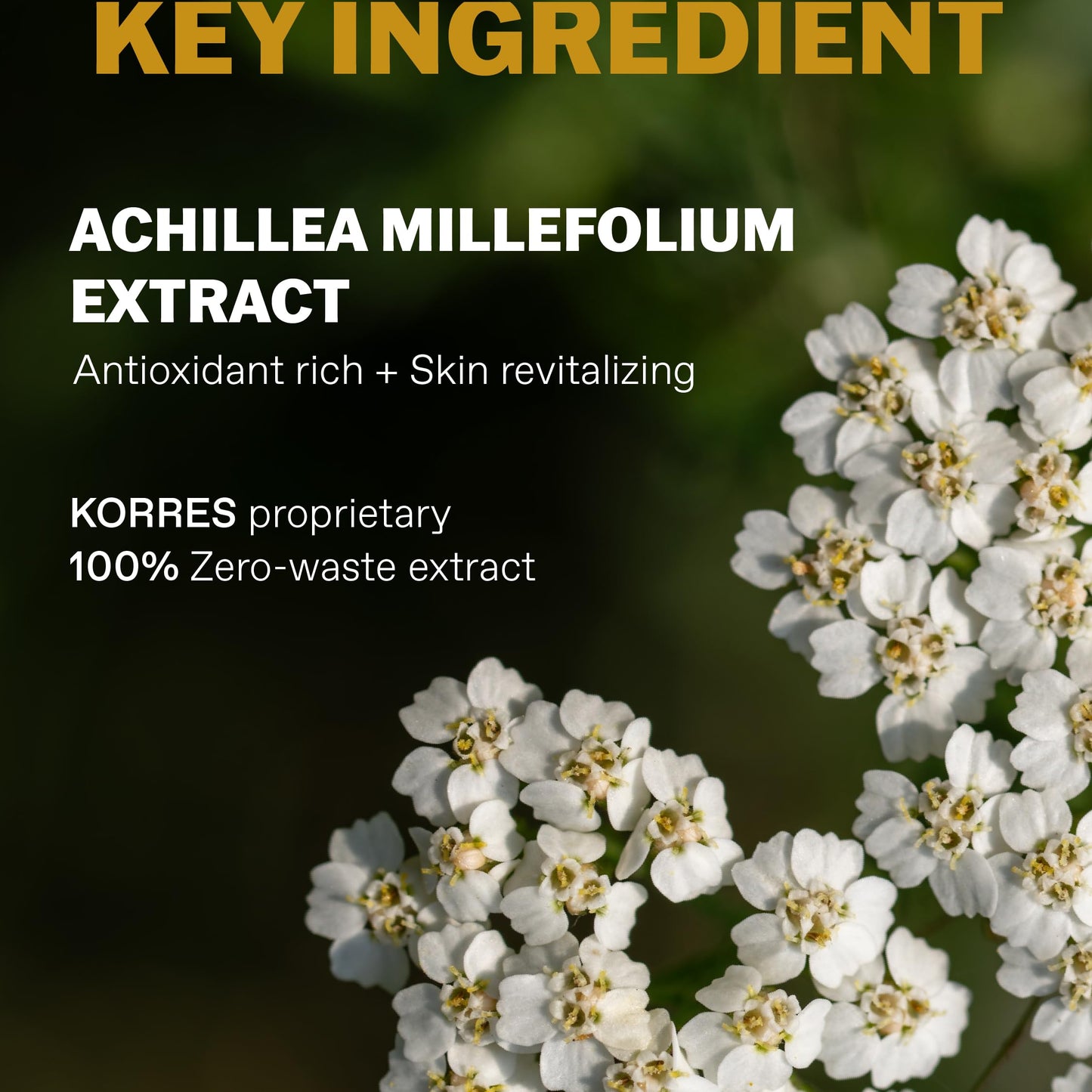 KORRES Athenean Grooming Soothing Aftershave Balm for Men, Skin Care After Shaving, Lightweight Moisturiser with Achillea Millefolium, Calendula & Pro-Vitamin B5, For Sensitive Skin, 4.23 Fl Oz