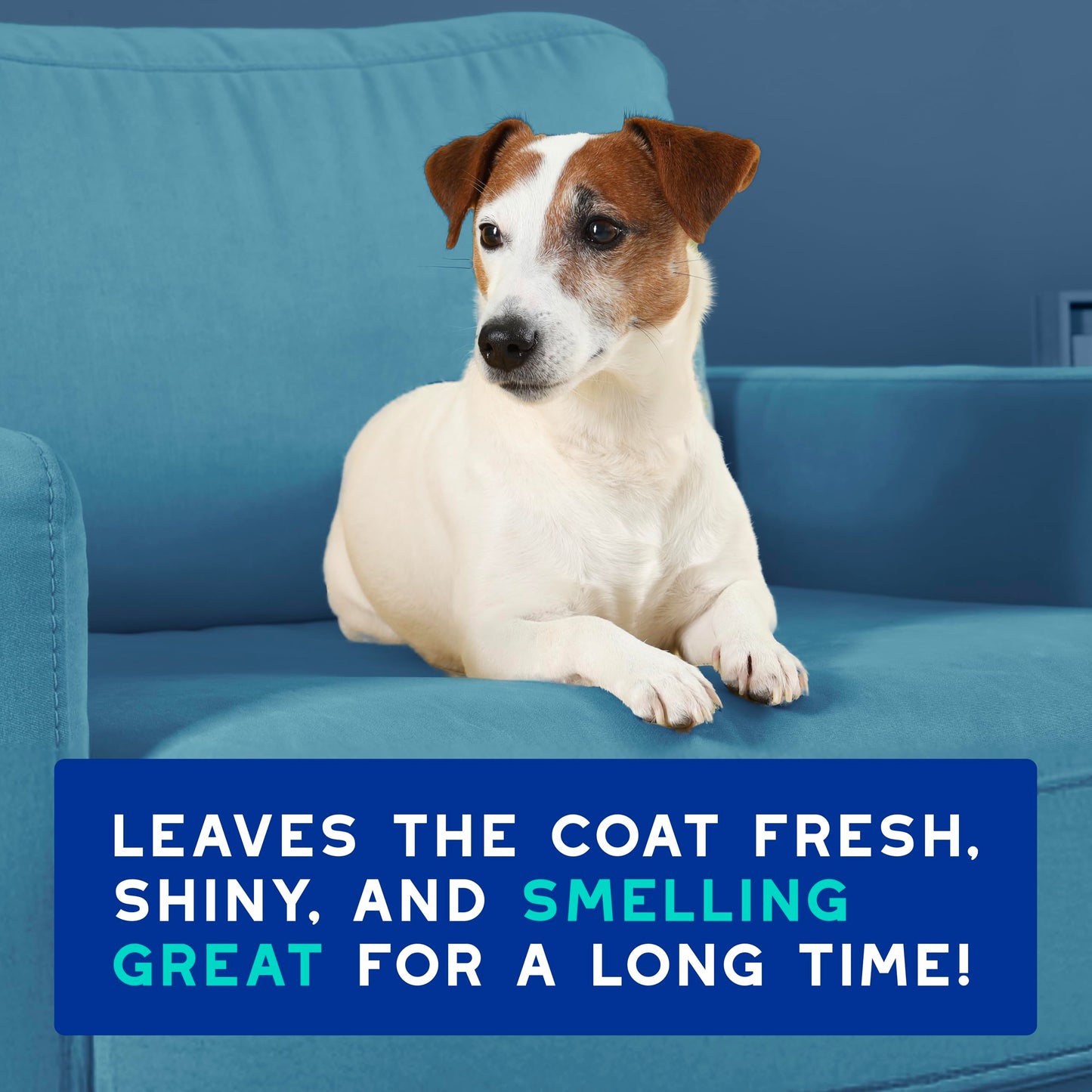 DOUXO SPA Dog Deodorizing Spray, 11.5 fl oz