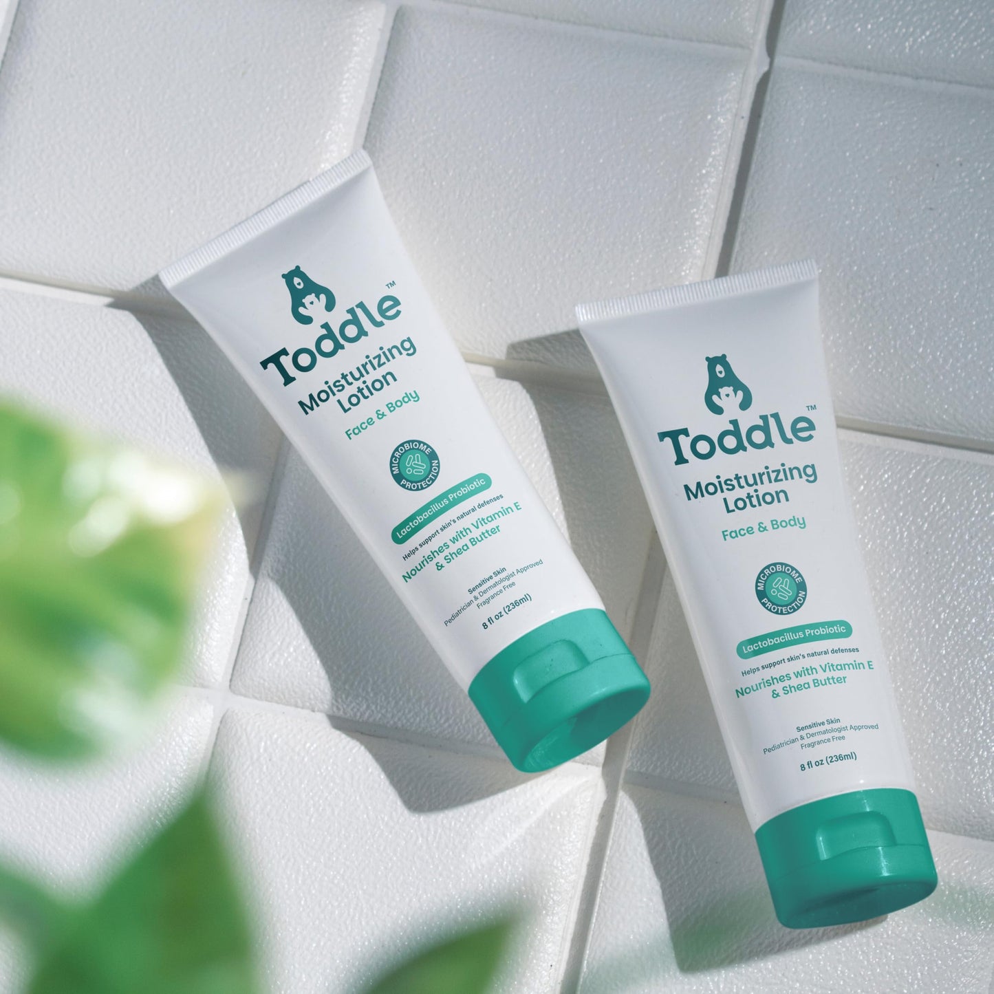 Toddle Probiotic Moisturizing Lotion for Face & Body, Eczema & Dry Skin Relief, Fragrance-Free with Vitamin E, Shea Butter for Sensitive Baby & Kids Skin, Pediatrician-Approved, 8oz