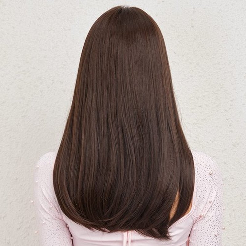 HAIRCUBE Dark Brown Synthetic Women's Wig Long Straight Layered and Heat Resistant