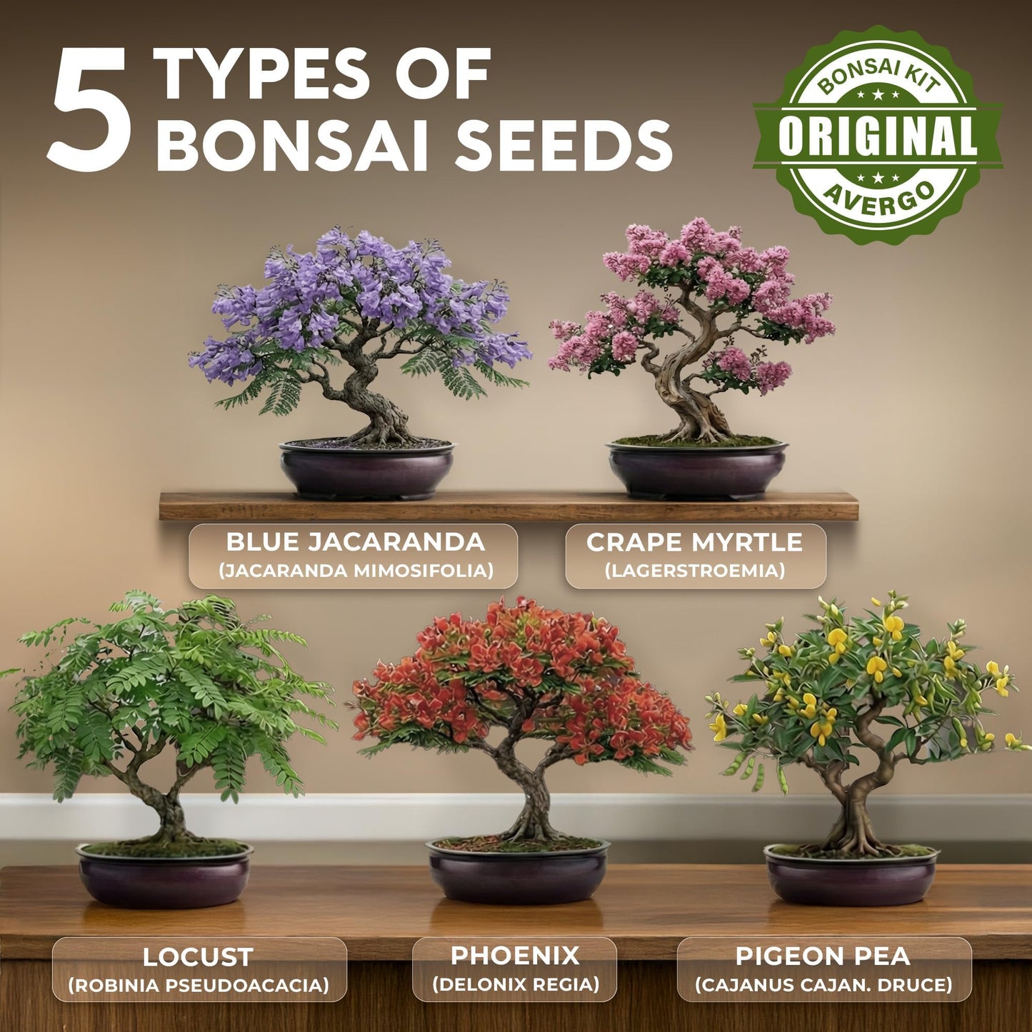 AVERGO Bonsai Tree Kit Deluxe - 5X Unique Japanese Bonzai Trees | Complete Indoor Bonsai Starter Kits for Growing Trees – DIY Gardening Gifts for Mother, Women & Men
