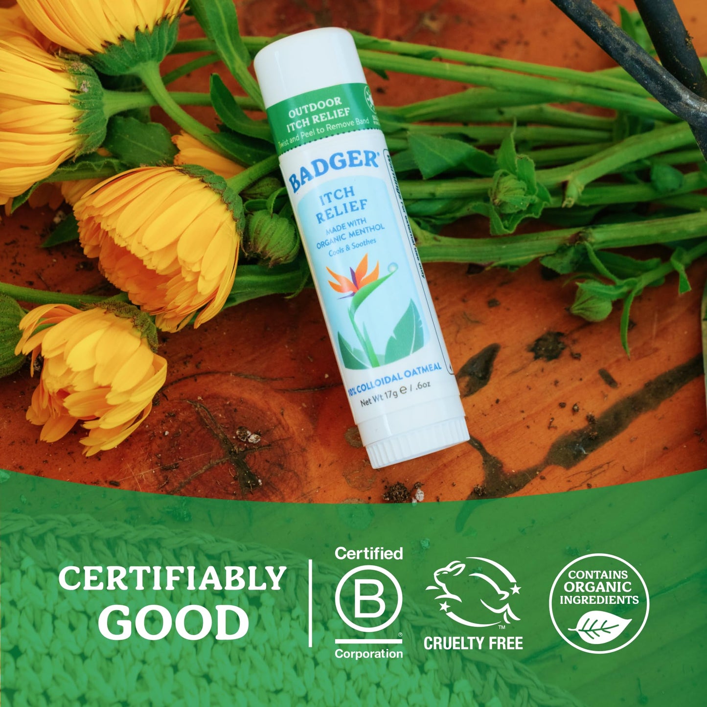 Badger Bug Bite Itch Relief Stick, Natural & Organic Anti Itch Cream for Bug Bites, Rashes & Poison Ivy, Fast Itchy Skin Relief After Bite, Works Great, Smells Great, Easy to Use, .6 oz, 2-Pack