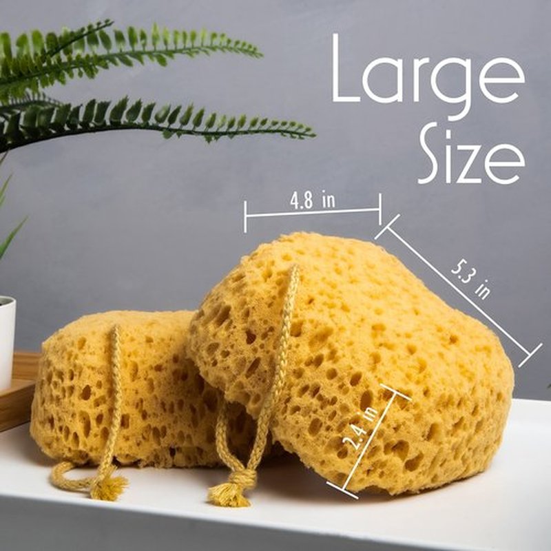 myHomeBody Bath Sponge, Foam Loofah Sponge, Body Sponge for Shower – Large Size, Lots of Lather, Curvy, 3 Pack