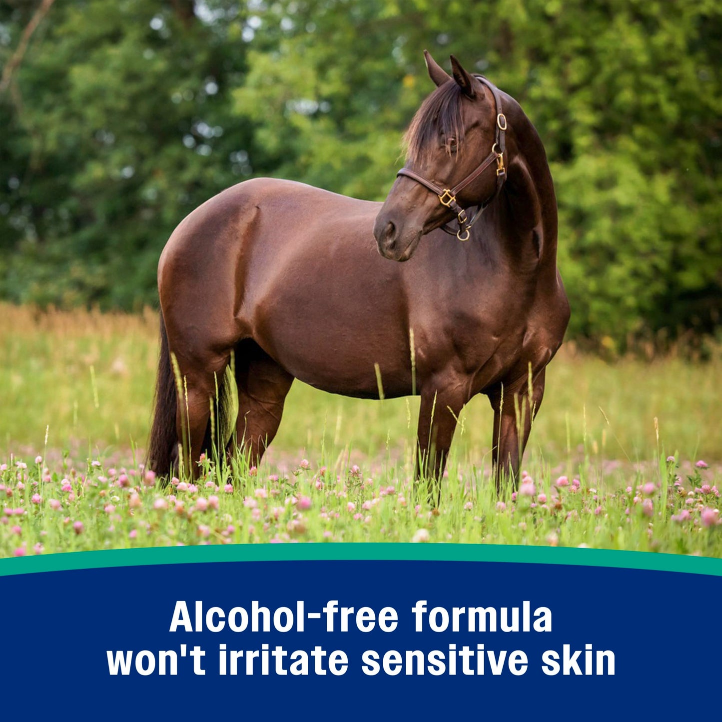 Farnam Nature’s Defense Concentrate, Water-Based Botanical Fly Repellent Spray for Horses, Ideal for Sensitive Skin, 32 oz