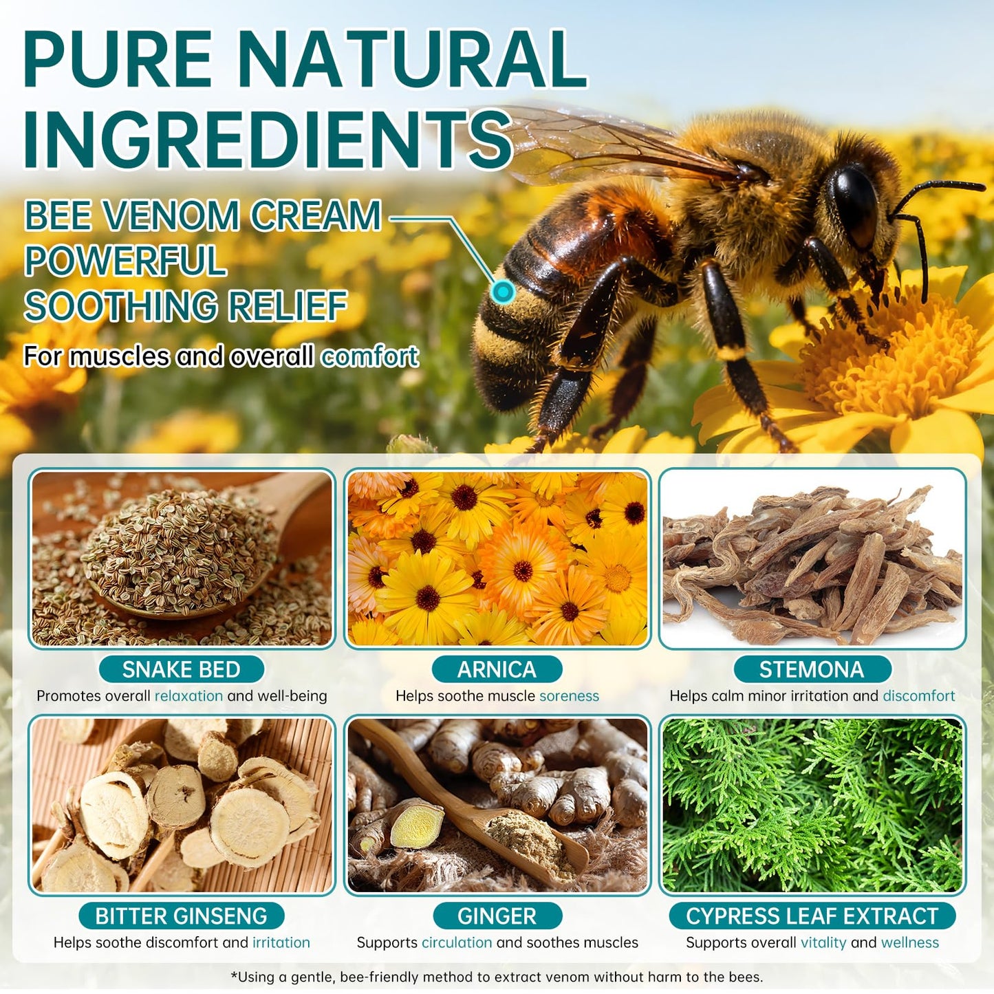 CHANGARLOAD New Zealand Bee Venom Cream for Body Part, 2 PCS Specially Selected Bee Venom Cream, Designed for Daily Care of Back, Neck, Hands, and Feet, Comfortable Care Experience