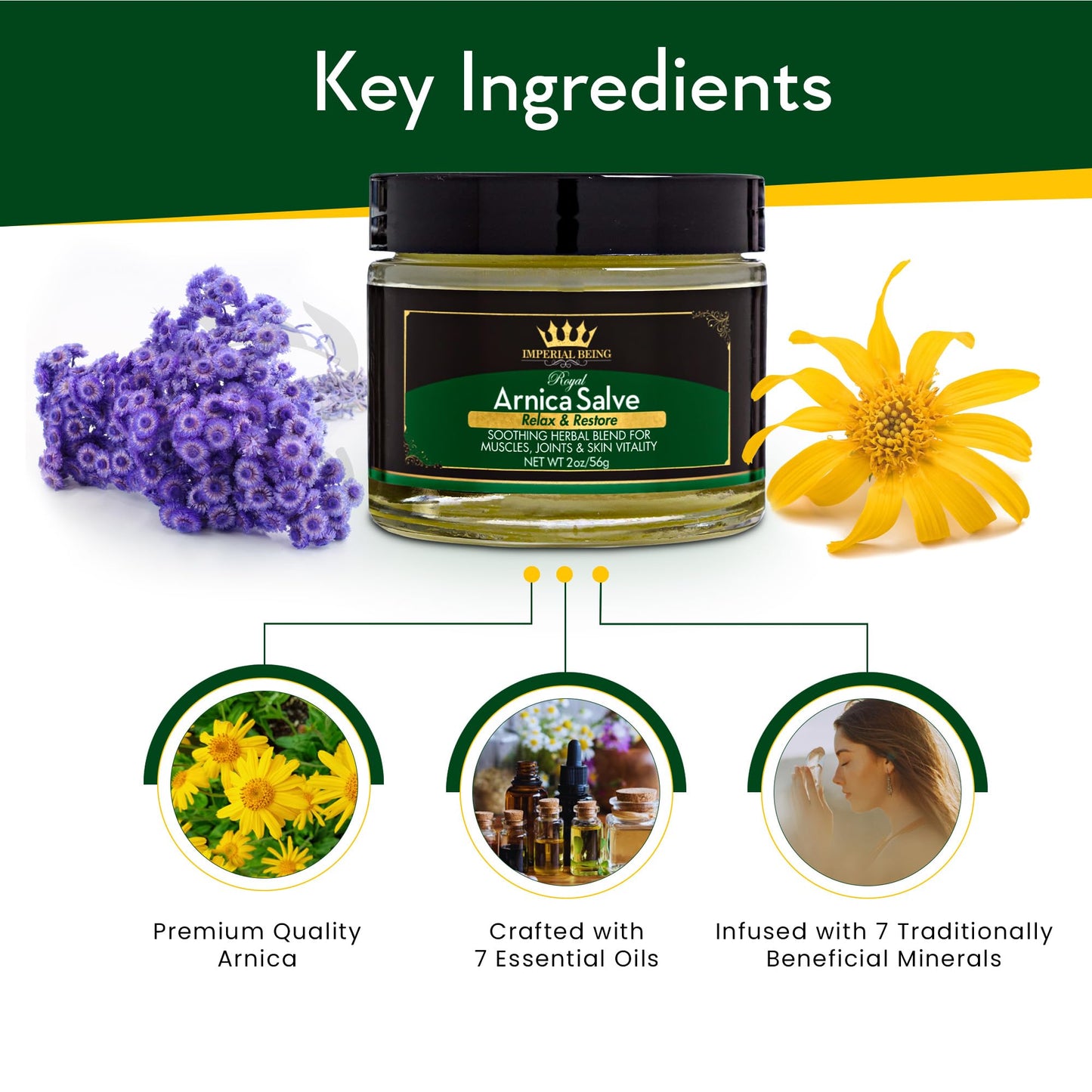 Royal Arnica Salve - Organic Bruise Care and Skin Recovery Balm, Natural Arnica Oil for Muscles, Joints, and Body Comfort, Botanical Massage Cream with Essential Oils, Herbal Relief Blend (2 oz)