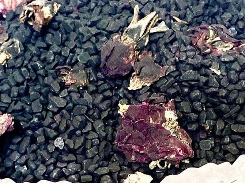FIRE TEAS Black Lava & Roses Bath Salt - Hiwa Kai Hawaiian Sea Salt w/Activated Charcoal, Sweet Orange Essential Oil, Rose Petals