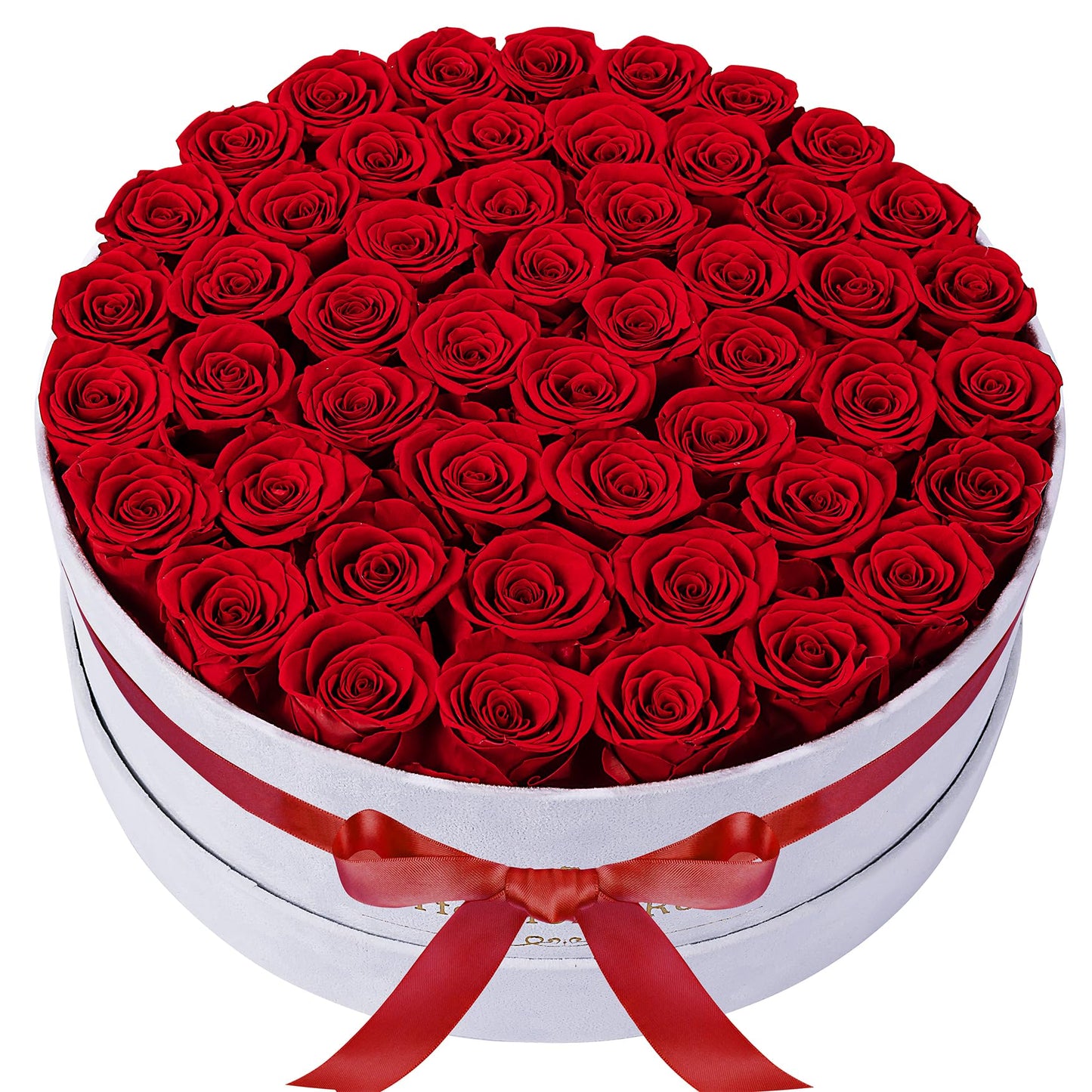 50 Piece Roses in a Velvet Box, Flowers for Delivery, Presereved Flowers Birthday Gifts for Women Mom and Wife (Red)