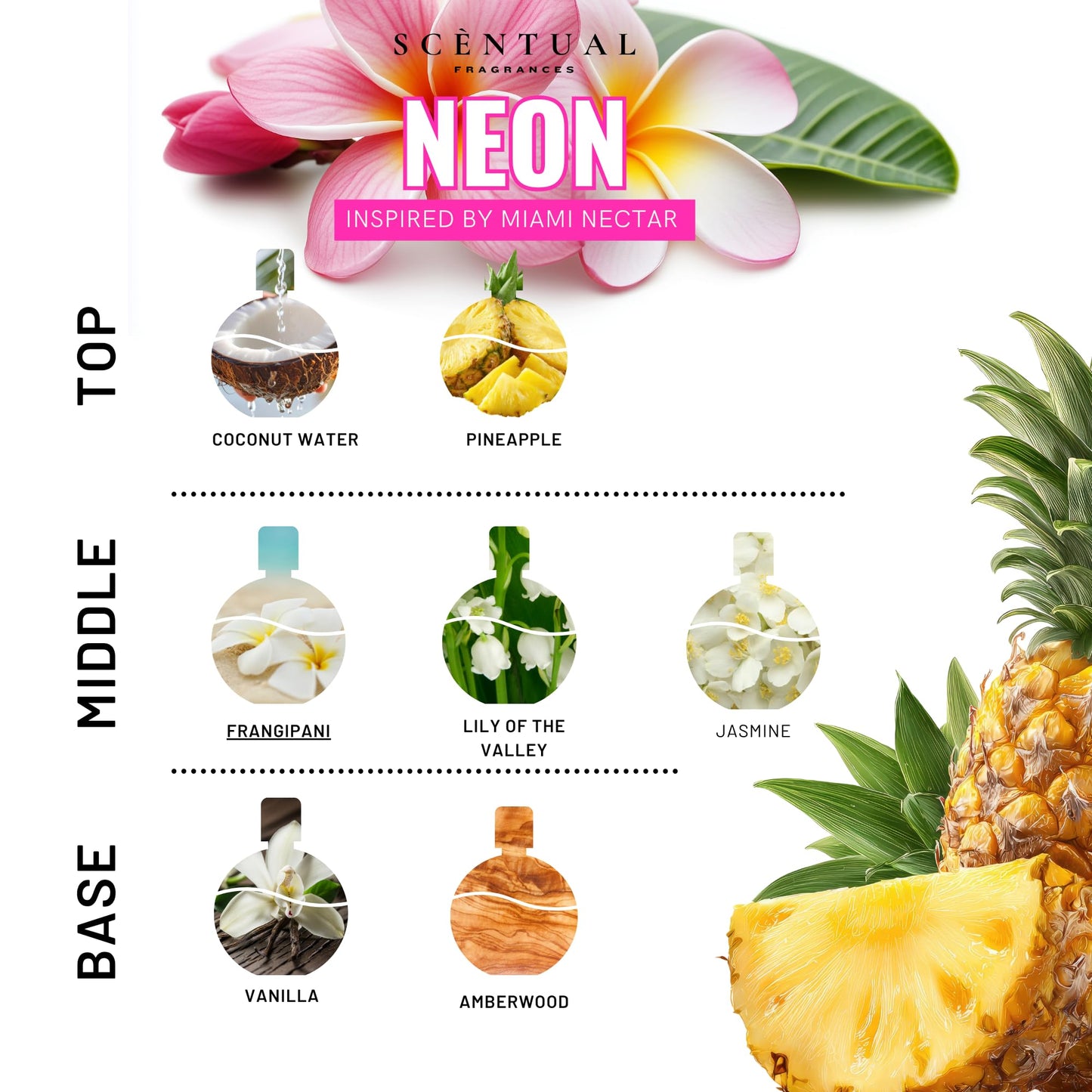 Scentual Fragrances, Neon Ultra-Concentrated Hair & Body Perfume Mist, Long Lasting Women's Fragrance, Gourmand Perfumes for Women, Vegan and Cruelty Free