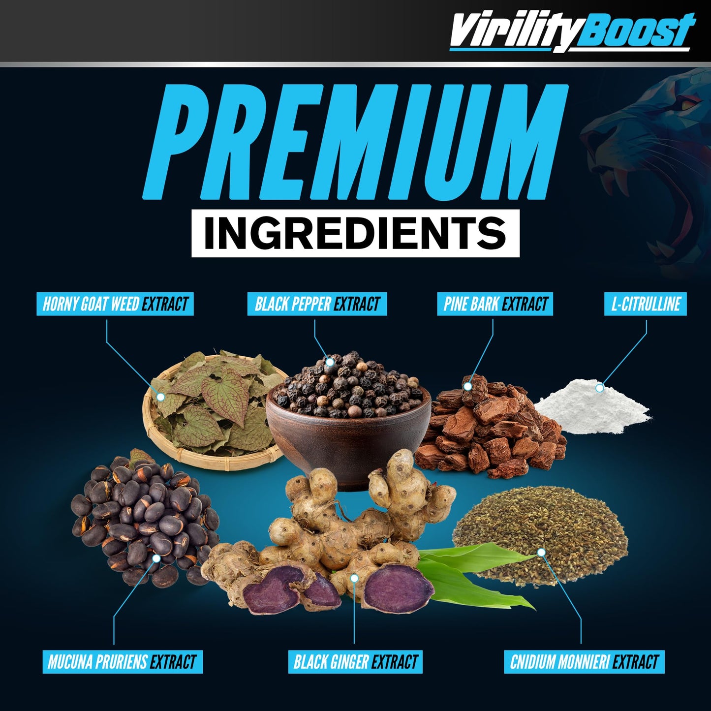 VirilityBoost Maximise Stamina, Energy & Endurance – Male Performance Supplement – Vitality & Stamina Support