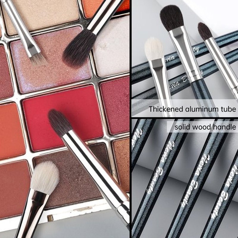 EVRCHGIEA Natural Goat Hair Eye Makeup Brush Set, 6 Pcs Professional Blending Eyeshadow Makeup Brushes for Concealer Eyebrows Eyeliner, Soft Hairs & Wood Handle… (blue 6pcs)