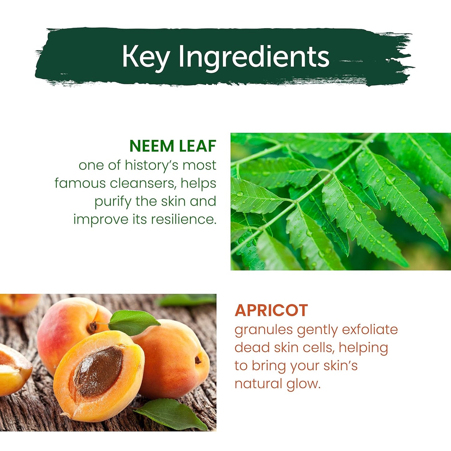 Himalaya Neem Scrub - Purifying Exfoliating Scrub for Oily Skin | 150 ml (5.07 oz)