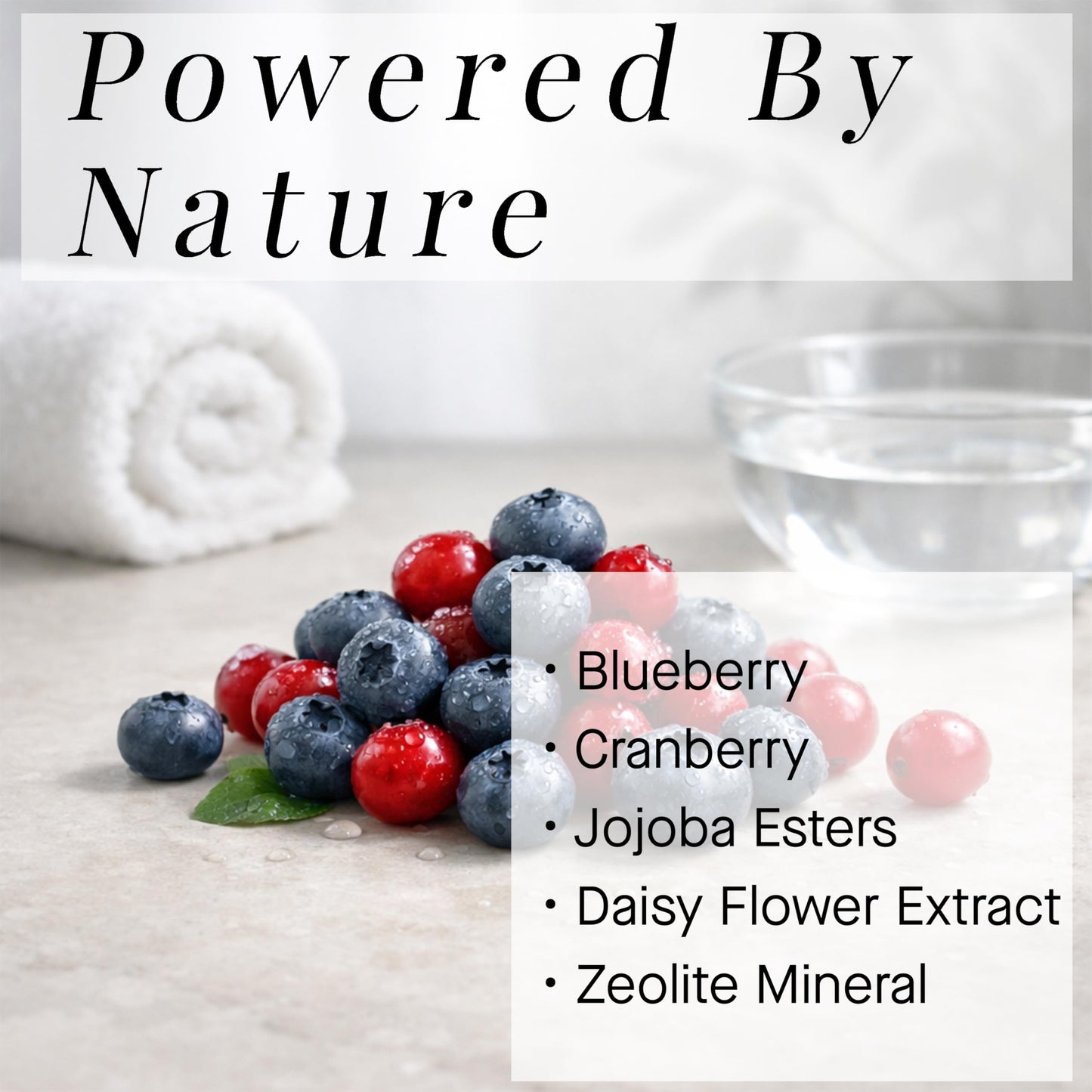 ARCONA Cranberry Gommage – Purifying Face Scrub To Exfoliate and Unclog Pores - Brighten, Tone, and Resurface Skin With Zeolite, Blueberry - Natural Face Exfoliator, 3.4 oz