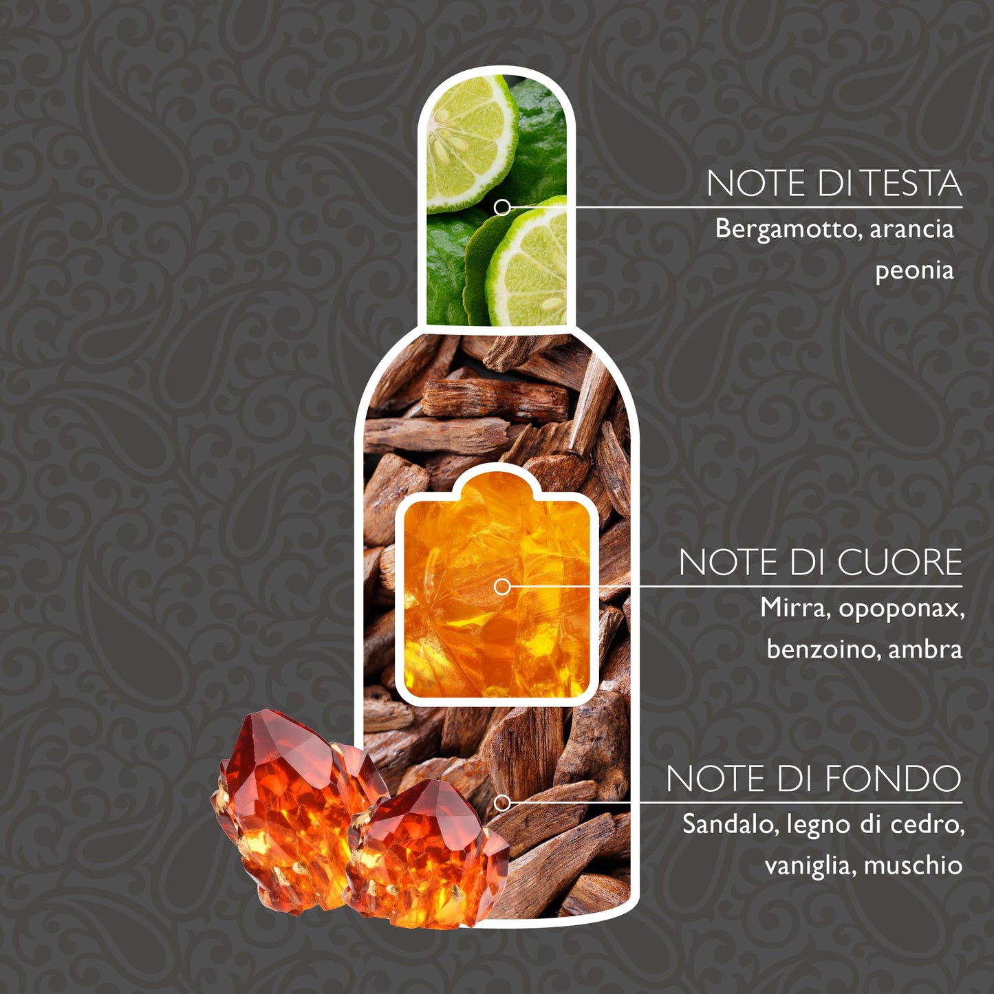 Tesori d'Oriente Perfumes for Women, Eau De Toilette, Women’s Fragrances, Elegant Fragrance (White Musk)