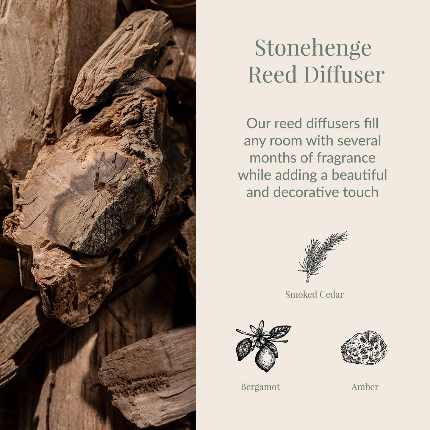 Archipelago Botanicals Stonehenge Reed Diffuser, Home Fragrance Reed Diffuser, Includes Fragrance Oil, Frosted Glass Vessel & 10 Diffuser Reeds, Perfect for Home, Office or Gift, 7.6 Fl Oz