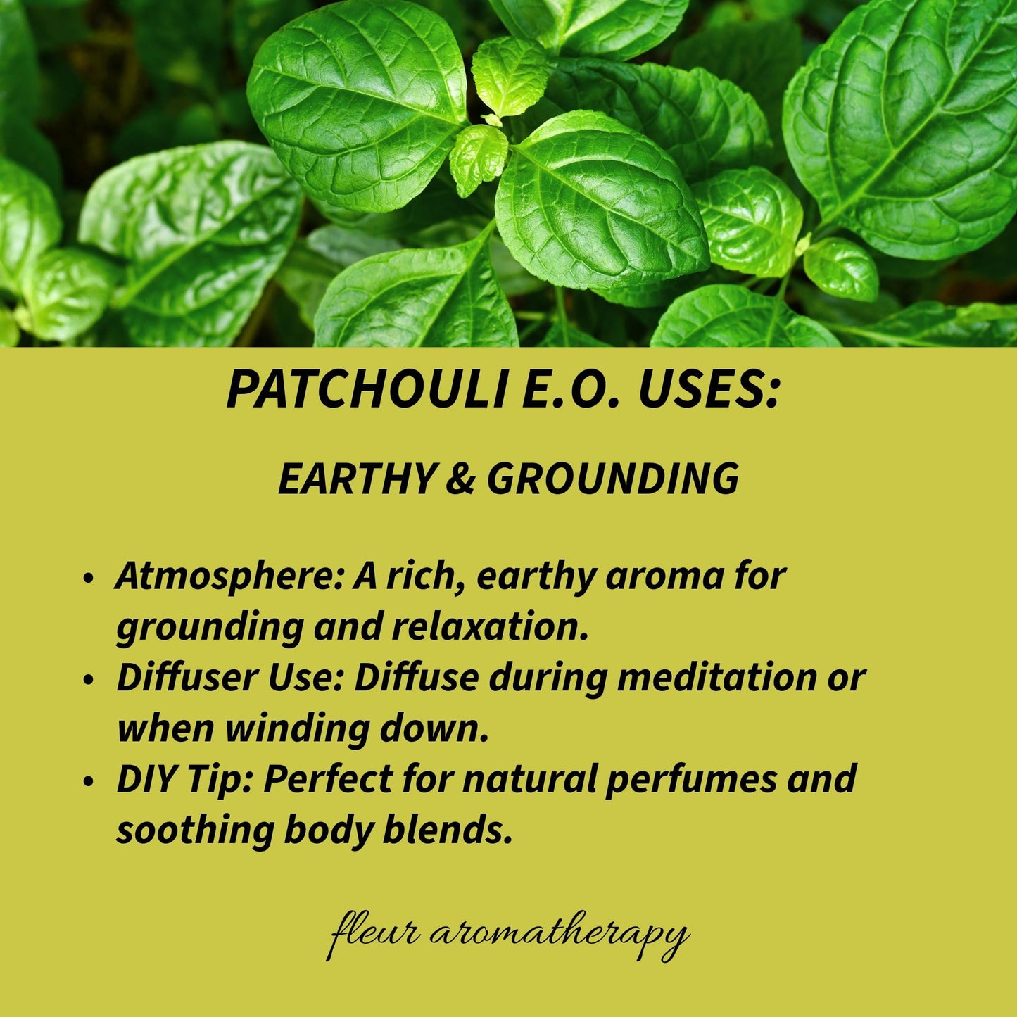 Patchouli Essential Oil 10ml – 100% Pure Pogostemon cablin – Steam Distilled – GC/MS – Earthy & Grounding Aroma – Professional Clinical Aromatherapy Quality – Fleur Aromatherapy