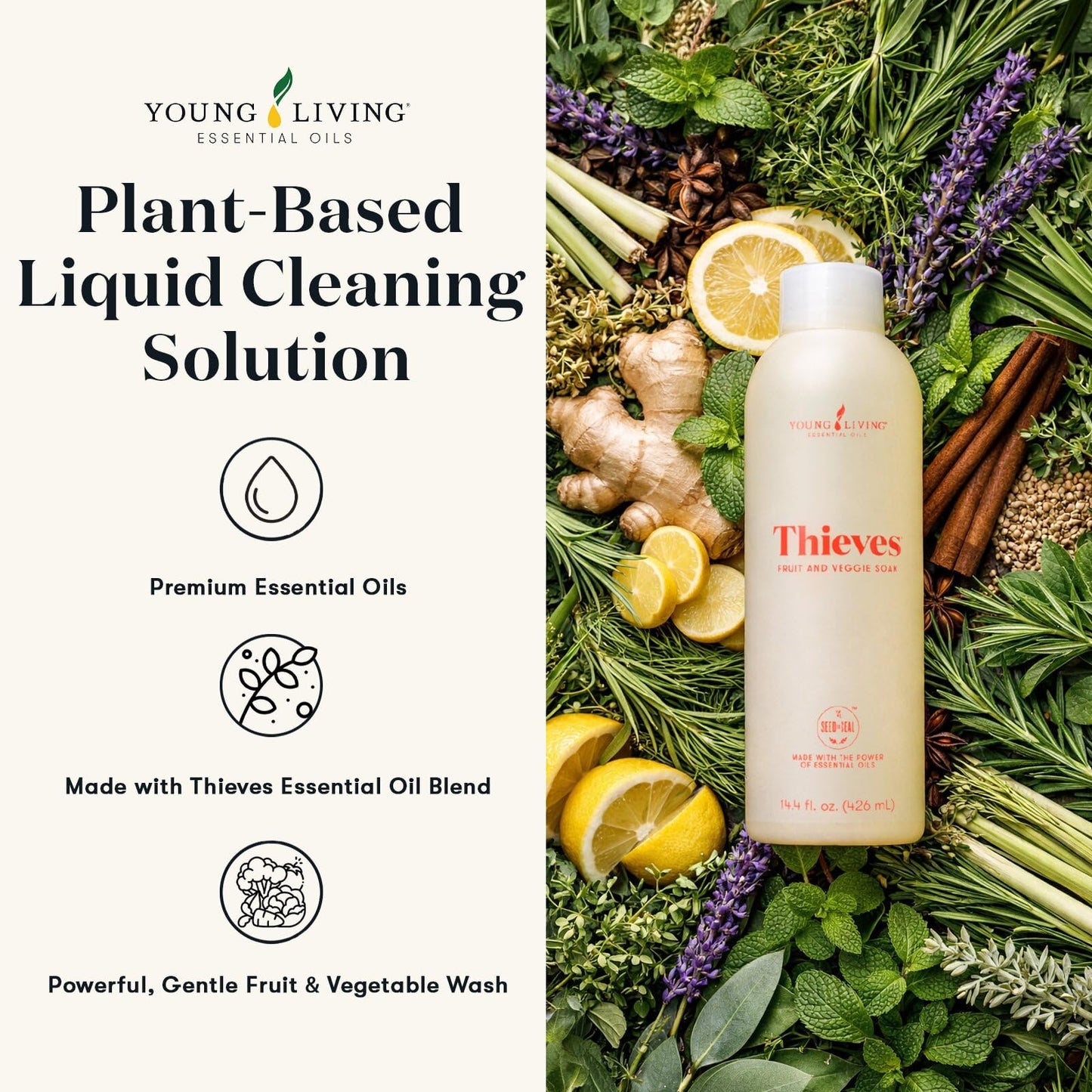 Young Living Thieves Fruit & Veggie Soak, 14.4 fl oz | Natural Home Care Cleanser | Gently Cleansing | Plant-Based | Infused with Water, Decyl Glucoside, Citric Acid, & Sodium Citrate