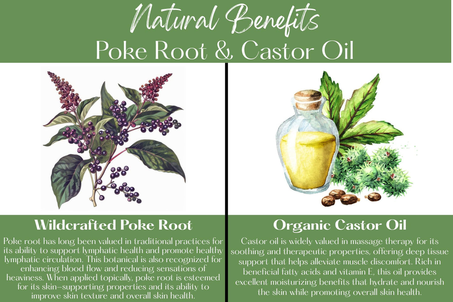 Organic Poke Root & Castor Oil Salve | Vegan Lymphatic Support | Enriched with Essential Oils | Cysts, Boils, Fibroids, Swollen Lymph Nodes, Breast & Joint (1oz, Citrus Spark)