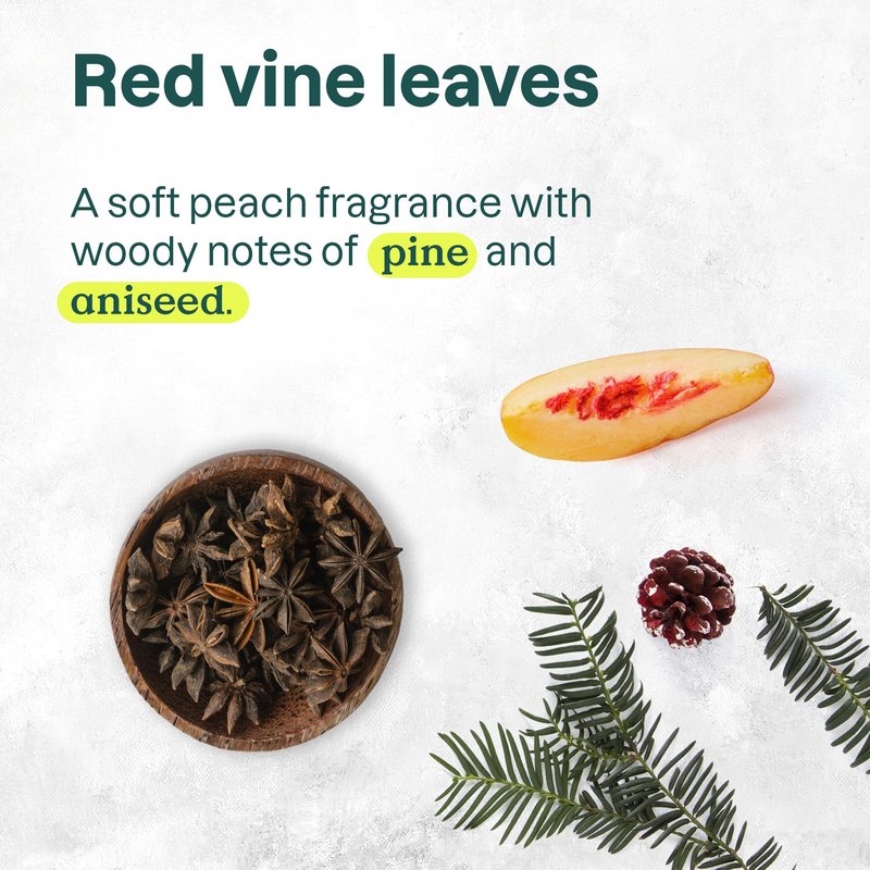 ATTITUDE Foaming Hand Soap, EWG Verified, Plant and Mineral-Based Ingredients, Vegan and Cruelty-free Personal Care Products, Vine Leaves and Pomegranate, 10 Fl Oz