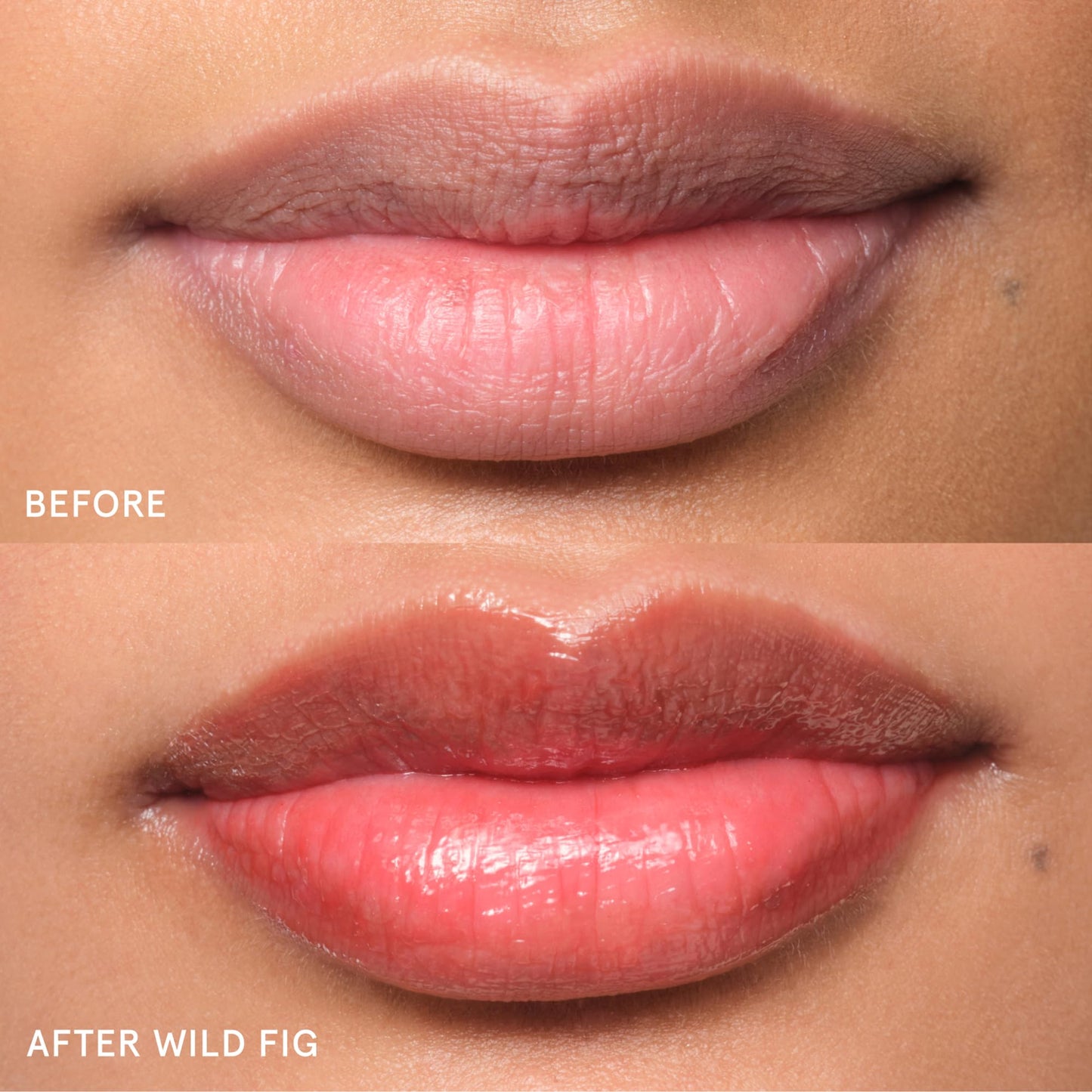 Glossier Balm Dotcom Lip Balm & Universal Salve, Wild Fig Coral Tint