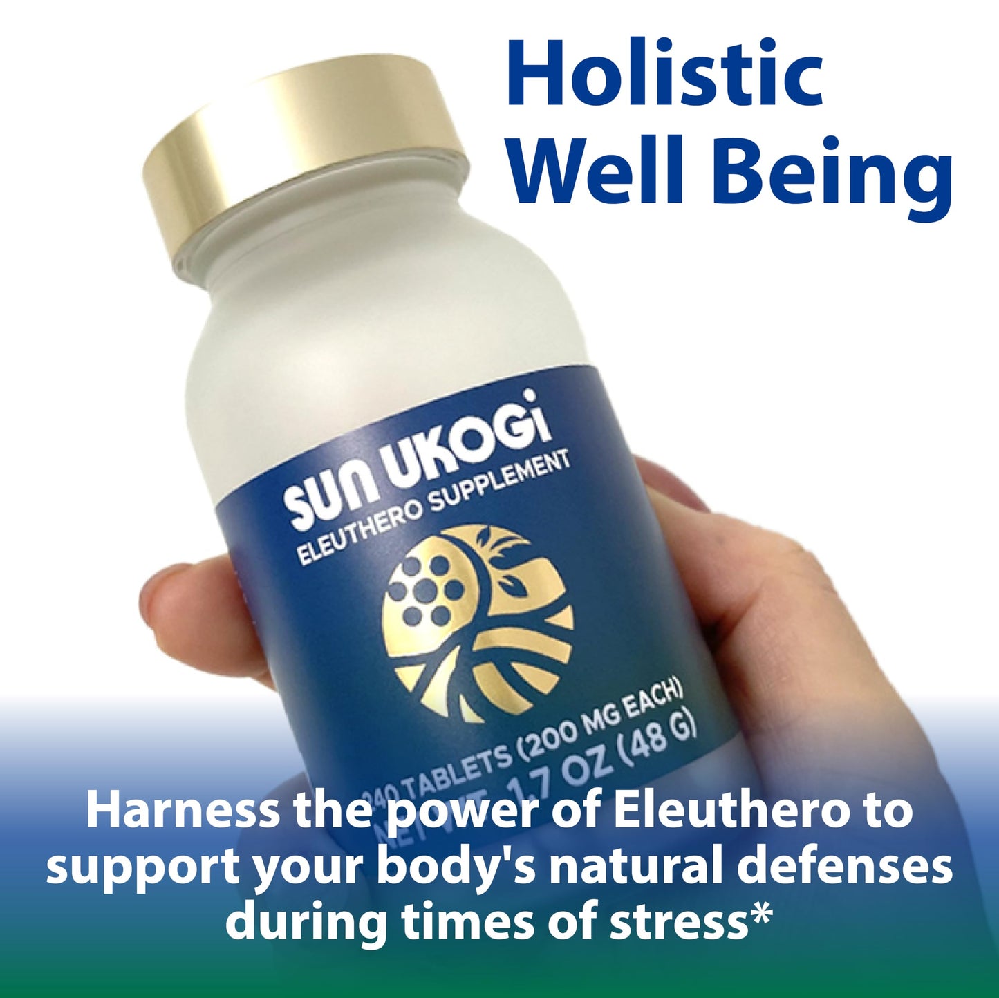 Sun Chlorella Sun Ukogi Eleuthero Root 200 mg Siberian Ginseng Supplement - Natural Adaptogen Well Being & Endurance Supplement for Women & Men - Non-GMO - 240 Tablets