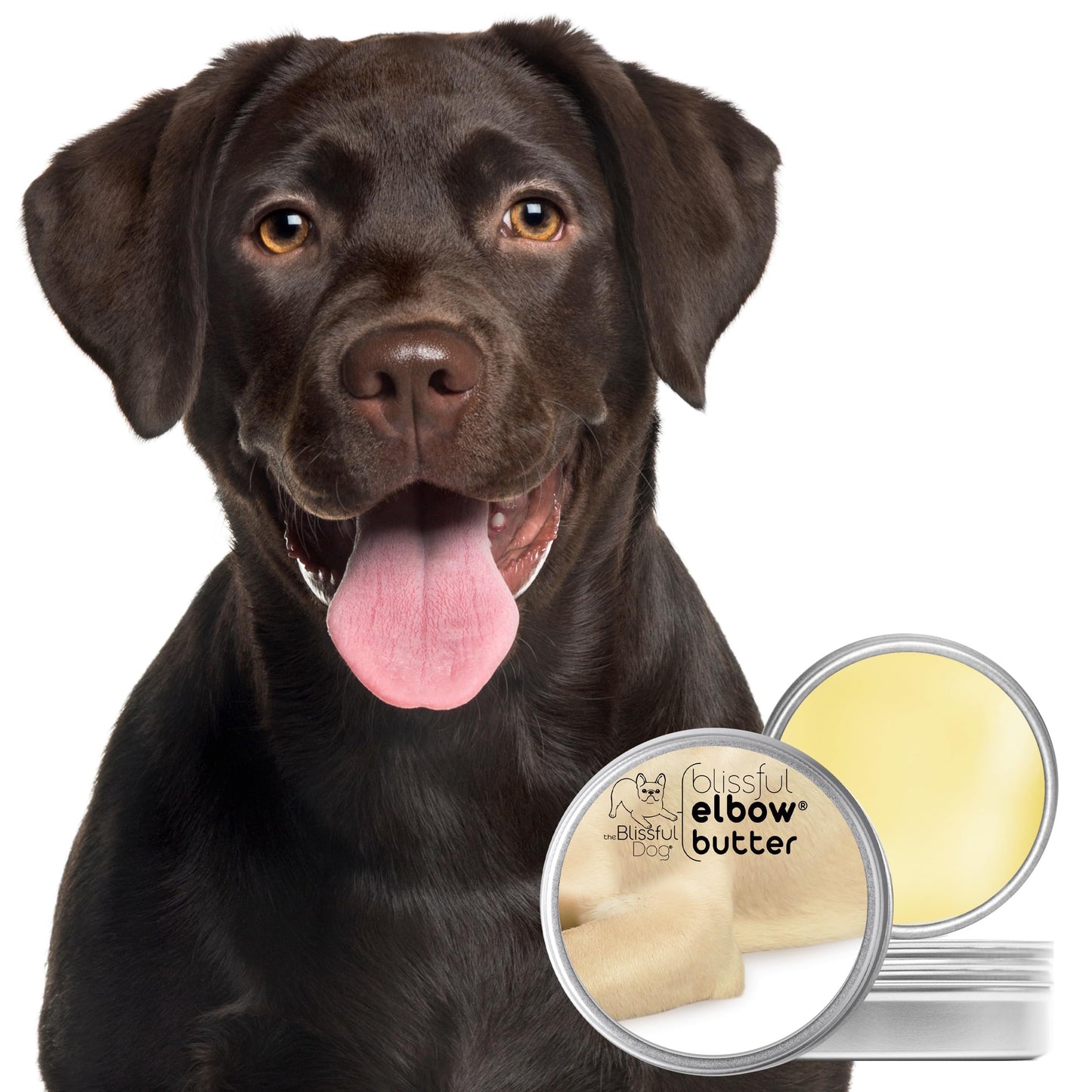 The Blissful Dog Elbow Butter for Dry, Cracked Calluses, Lick-Safe Dog Balm, Soothing Elbow Balm with Moisturizing Shea Butter, Almond, Olive, and Essential Oils, Pet Supplies, 1 oz. Tin