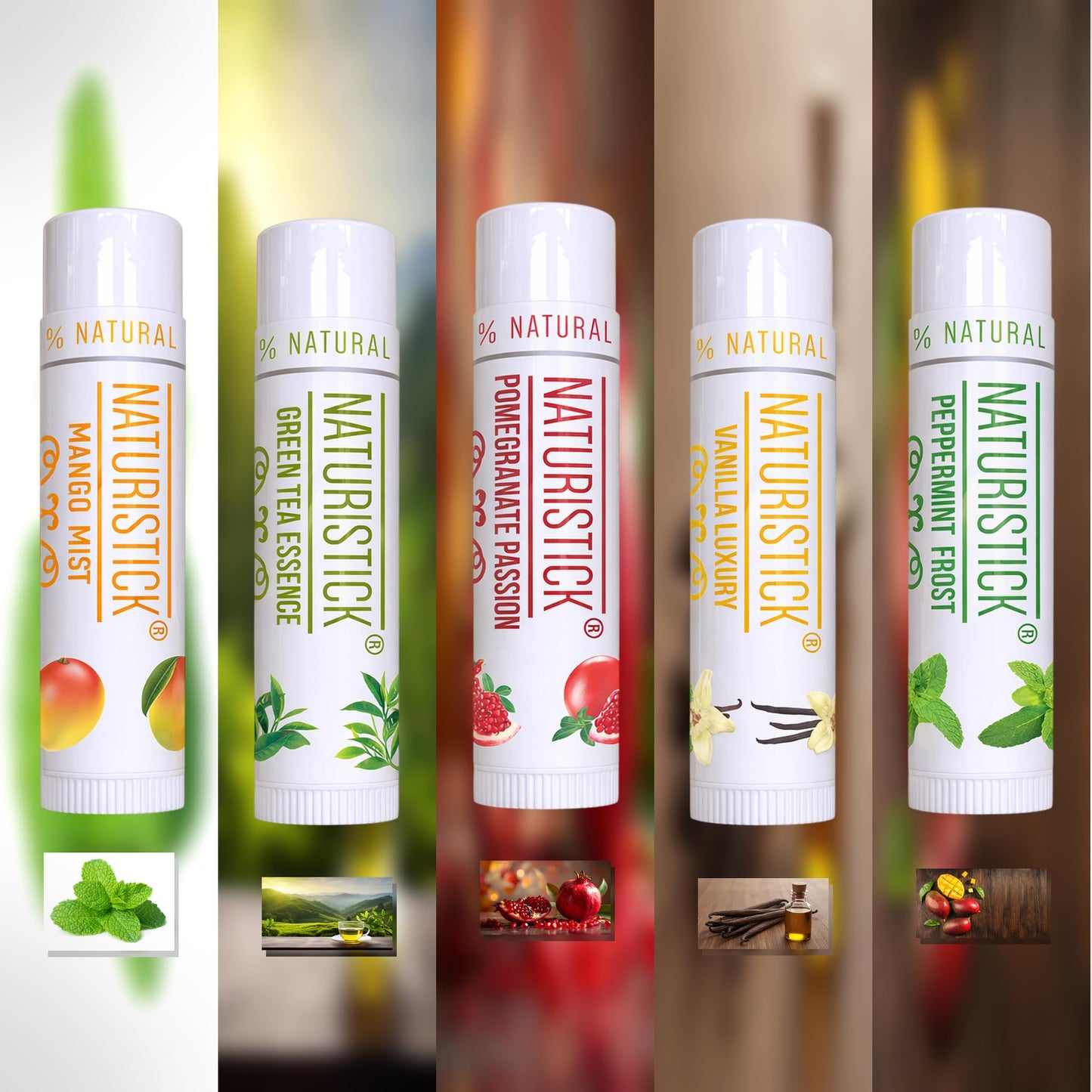 Naturistick Lip Balm | Assorted Signature 5-Pack
