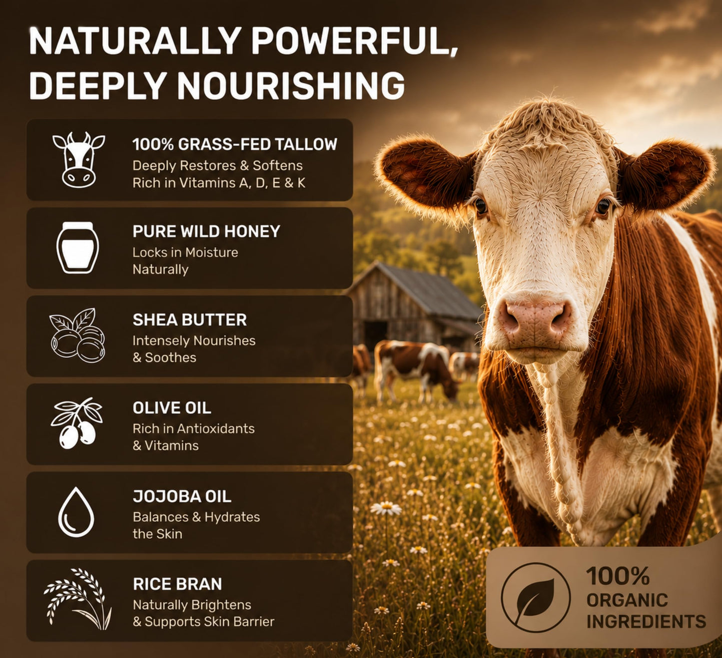 DRMOOSE – Beef Tallow and Honey Balm for Face & Body, Grass-Fed Moisturizer for Dry & Sensitive Skin, Hydrating Body Butter, Unscented, 120 g / 4.2 oz