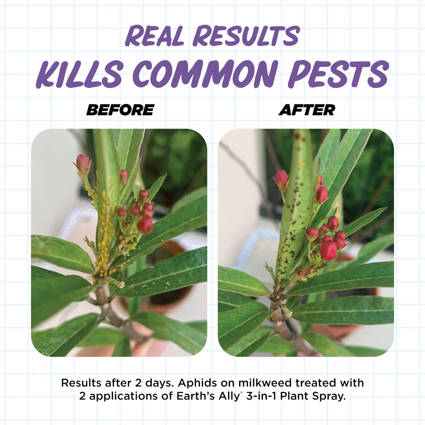 Earth's Ally 3-in-1 Insecticide, Miticide, Fungicide for Plants - Copper Fungicide & Neem Oil Spray Alternative - Insect Repellent & Pest Control for Indoor Outdoor Organic Gardening - 32 Oz Conc.
